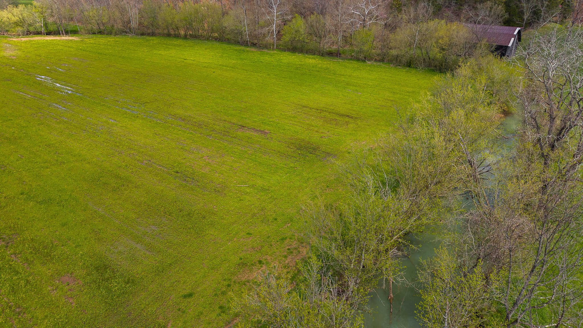 Timeless Tennessee Farm – 66 Acres at Absolute Auction with No Reserve