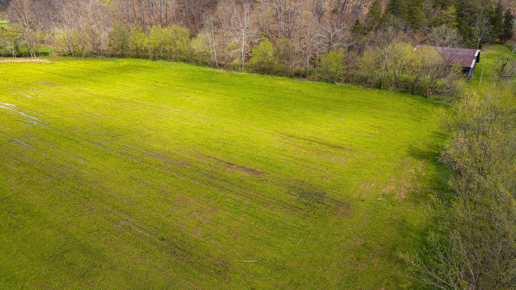 Timeless Tennessee Farm – 66 Acres at Absolute Auction with No Reserve