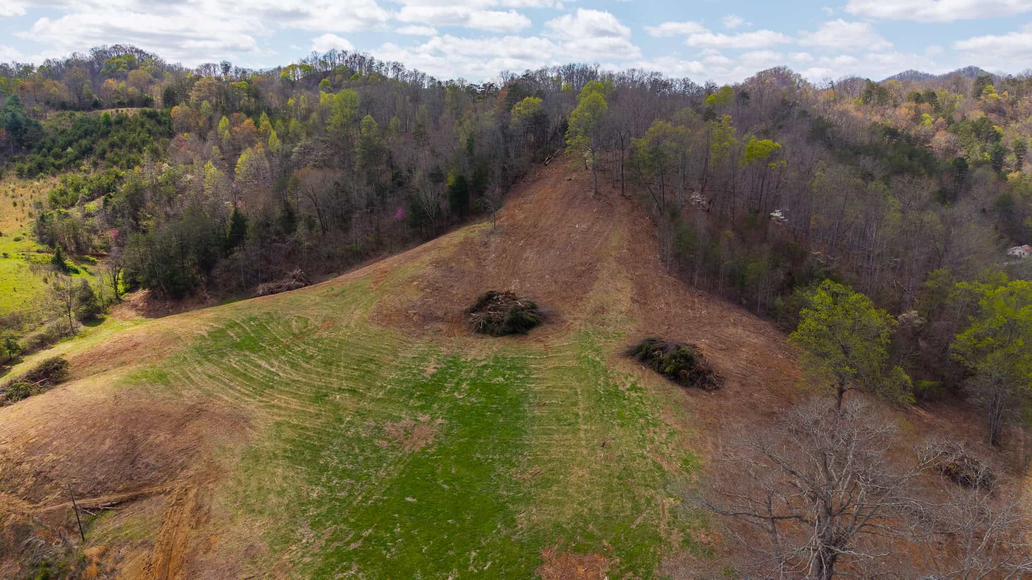 Timeless Tennessee Farm – 66 Acres at Absolute Auction with No Reserve
