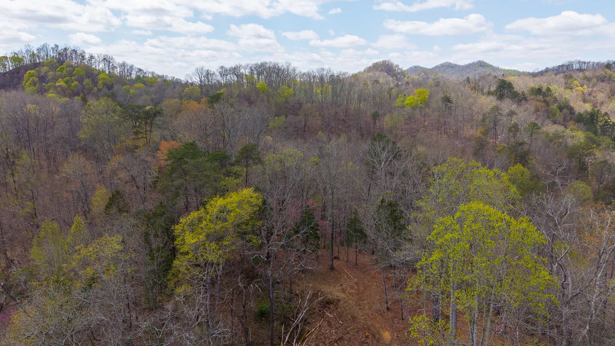 Timeless Tennessee Farm – 66 Acres at Absolute Auction with No Reserve