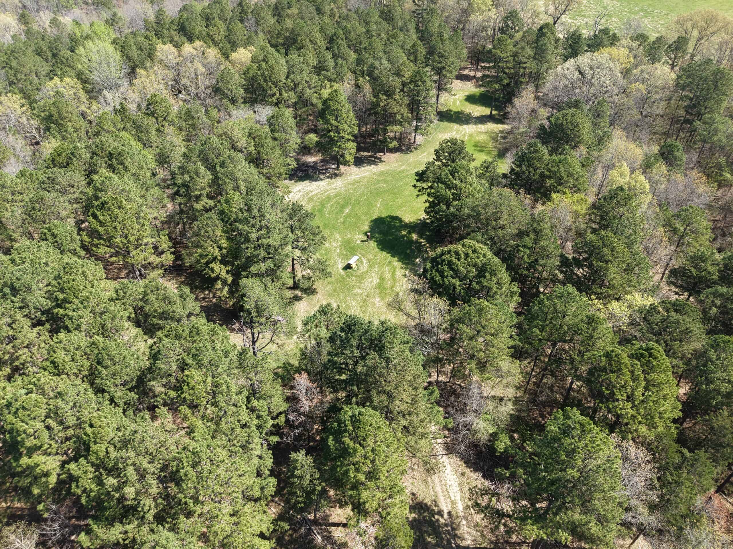 COUNTRY HOME AND LAND FOR SALE IN NORTH CENTRAL ARKANSAS
