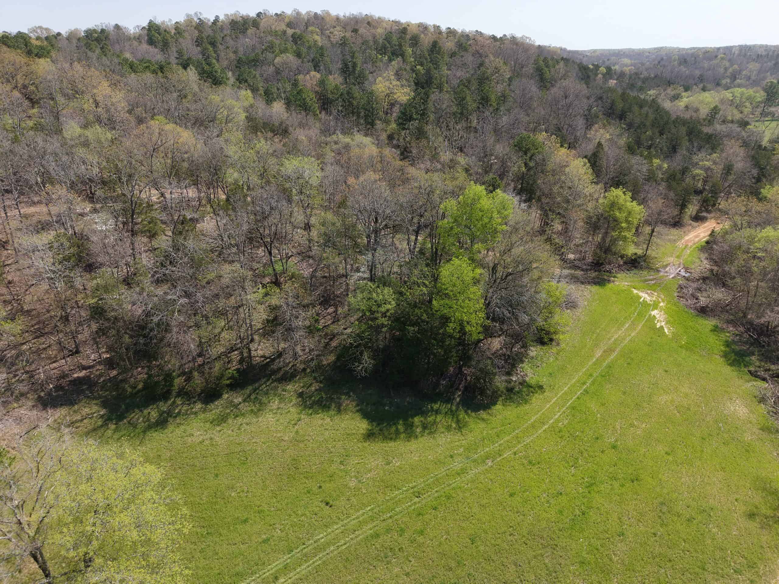 COUNTRY HOME AND LAND FOR SALE IN NORTH CENTRAL ARKANSAS
