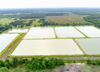 295-Acre Catfish Reserve & Recreational Property Clarksville TX