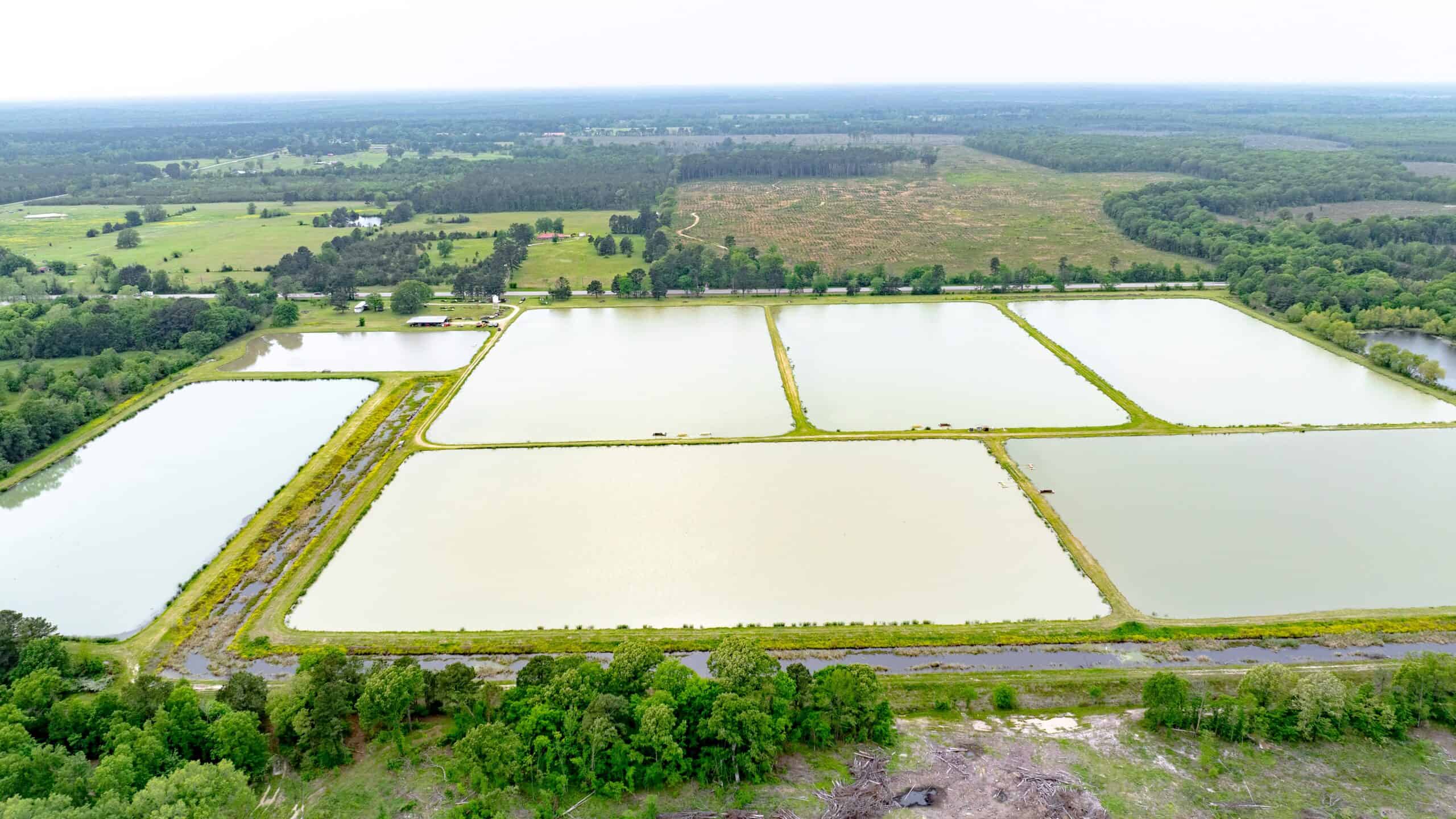 295-Acre Catfish Reserve & Recreational Property Clarksville TX