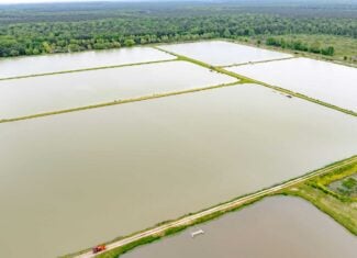 295-Acre Catfish Reserve & Recreational Property Clarksville TX