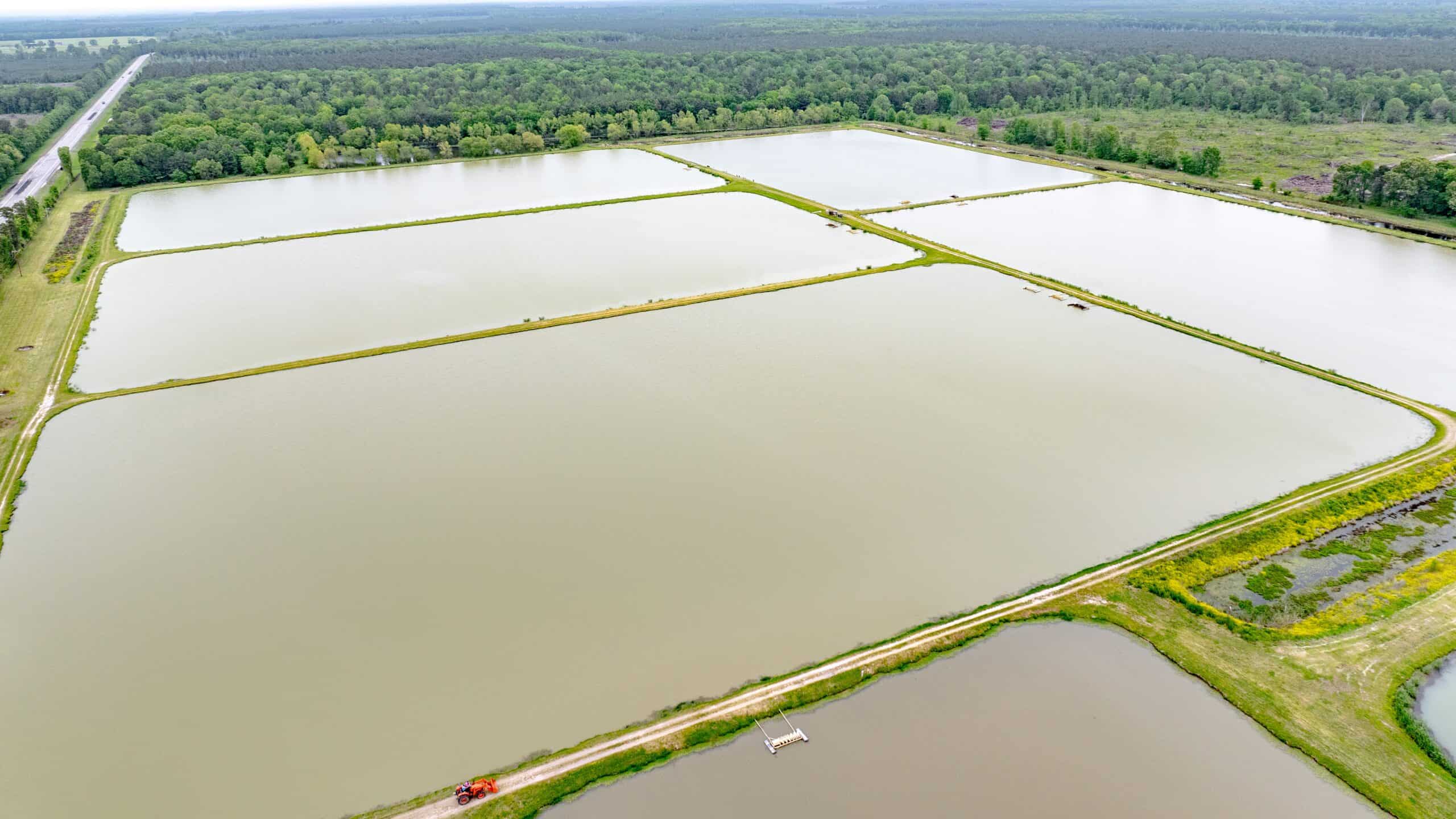 295-Acre Catfish Reserve & Recreational Property Clarksville TX