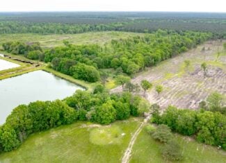 295-Acre Catfish Reserve & Recreational Property Clarksville TX