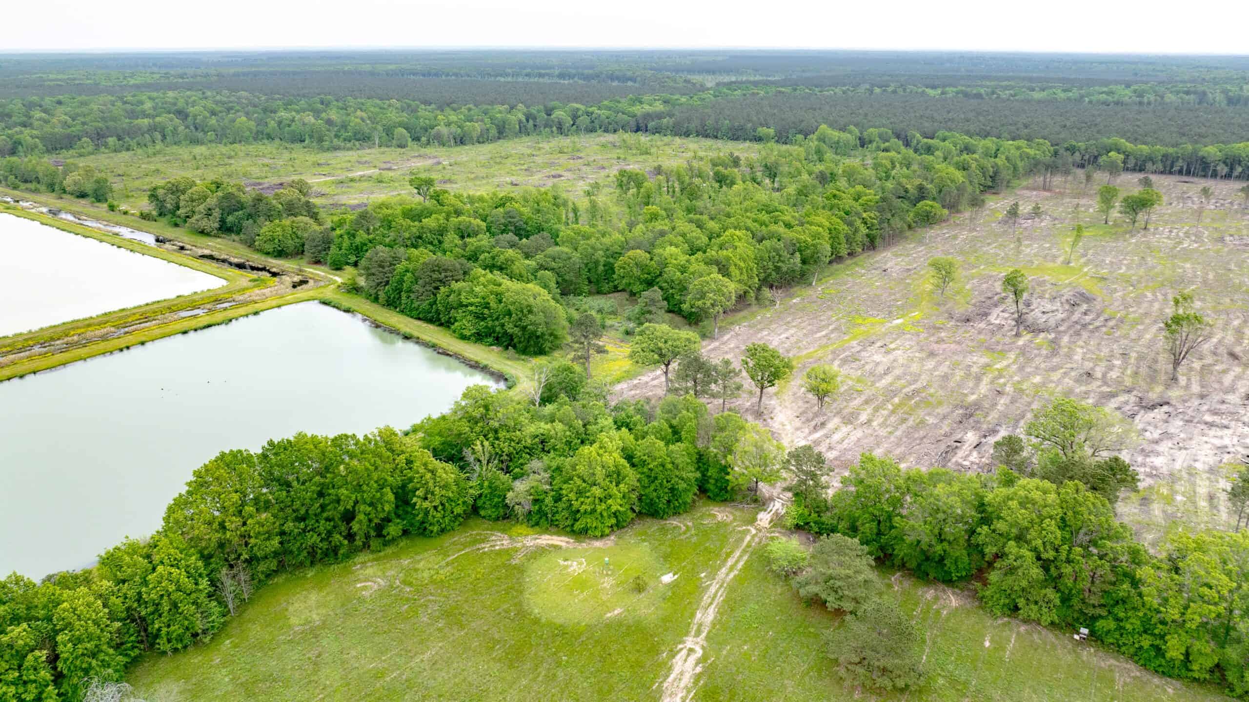295-Acre Catfish Reserve & Recreational Property Clarksville TX