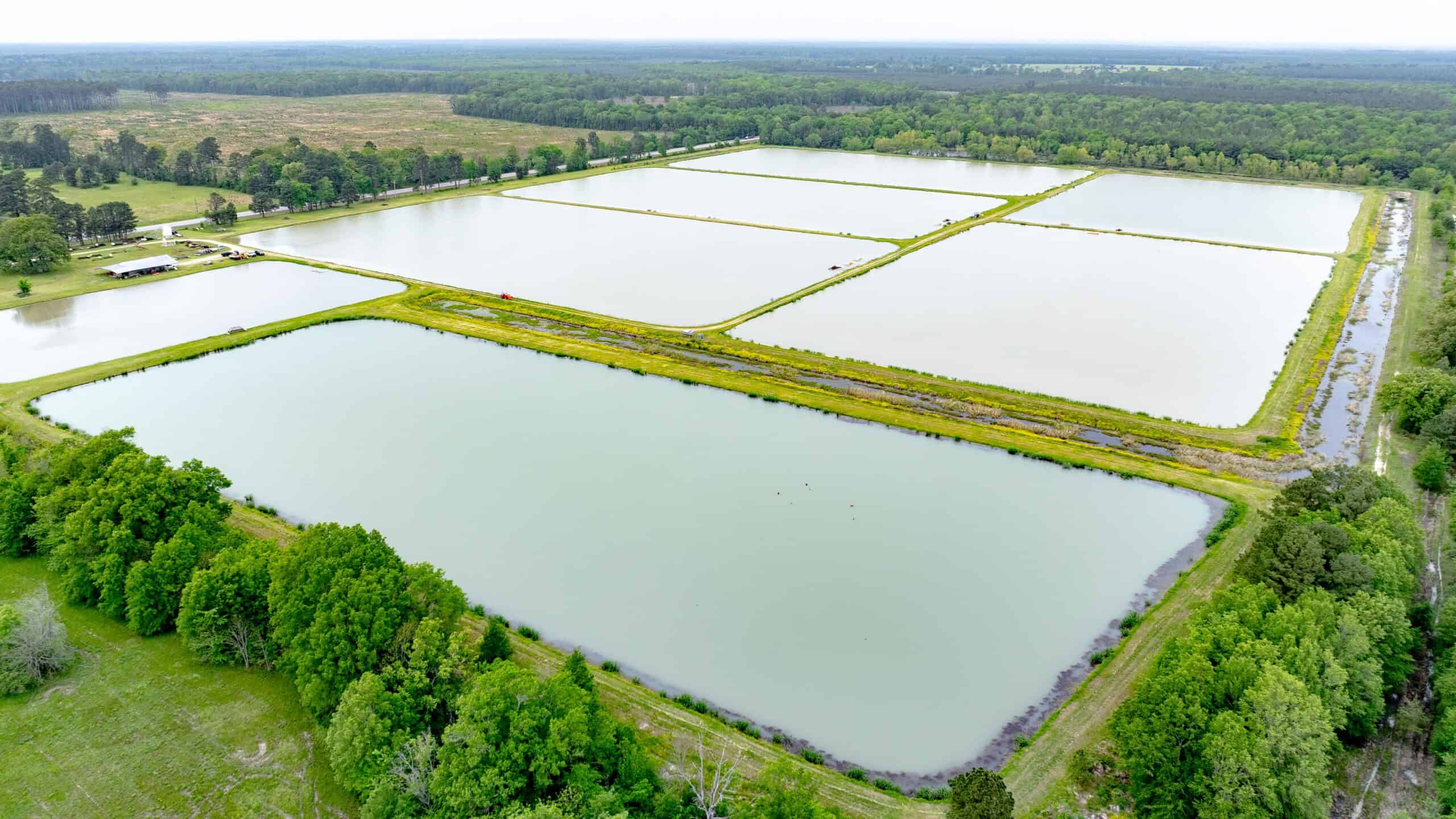 295-Acre Catfish Reserve & Recreational Property Clarksville TX