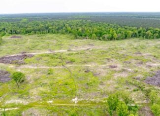 295-Acre Catfish Reserve & Recreational Property Clarksville TX