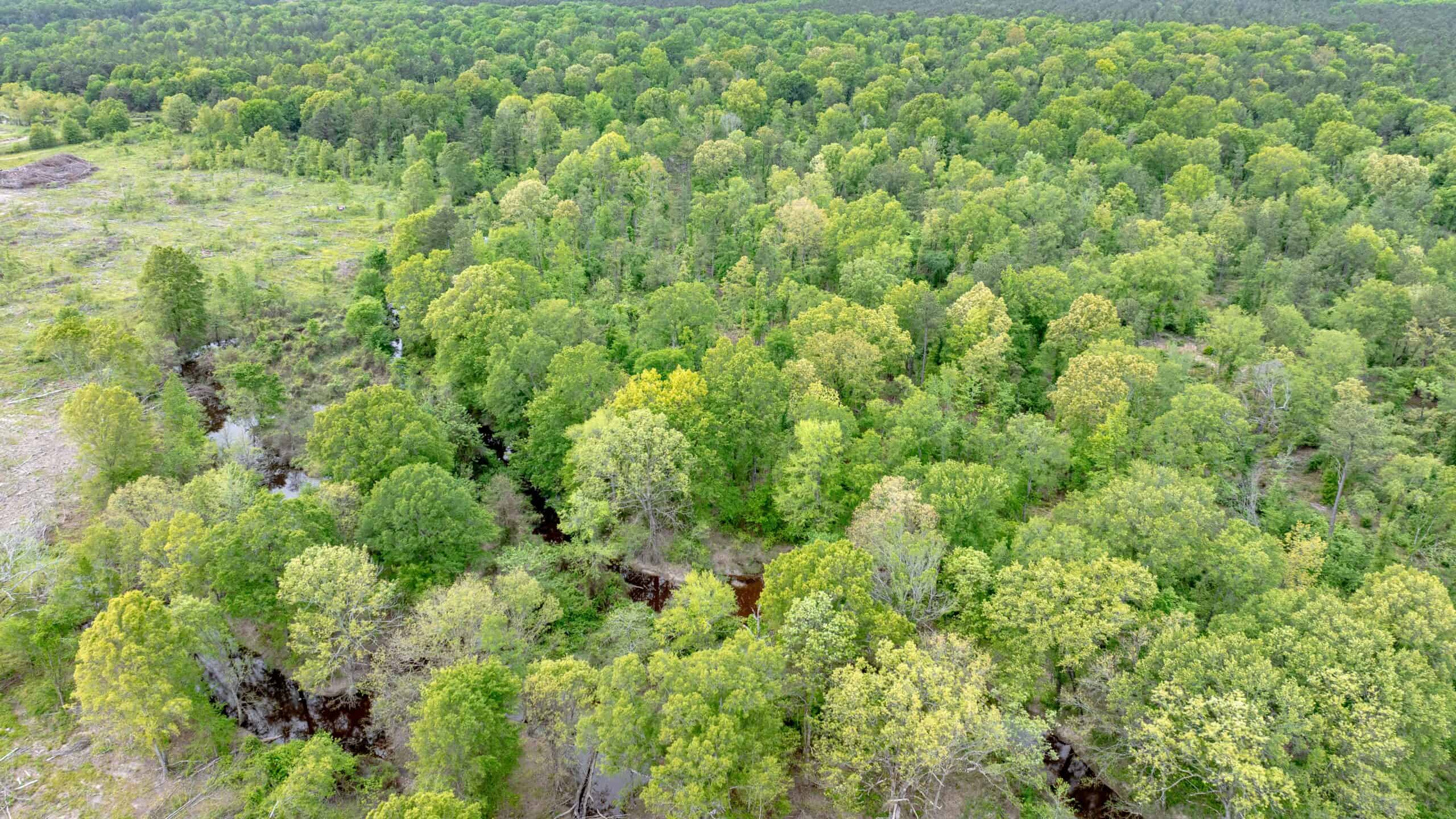 295-Acre Catfish Reserve & Recreational Property Clarksville TX