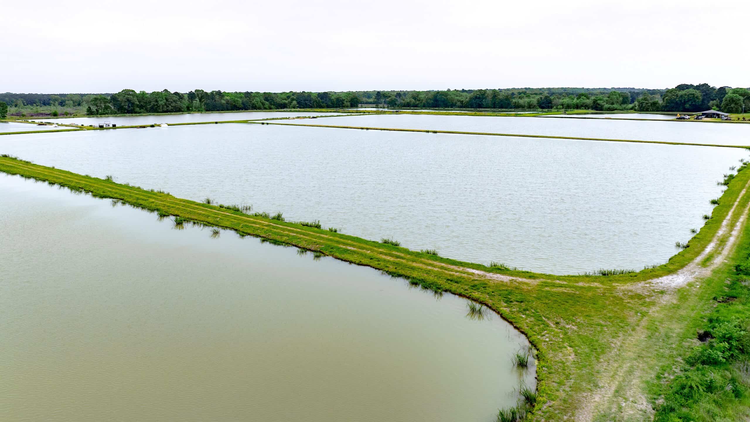 295-Acre Catfish Reserve & Recreational Property Clarksville TX