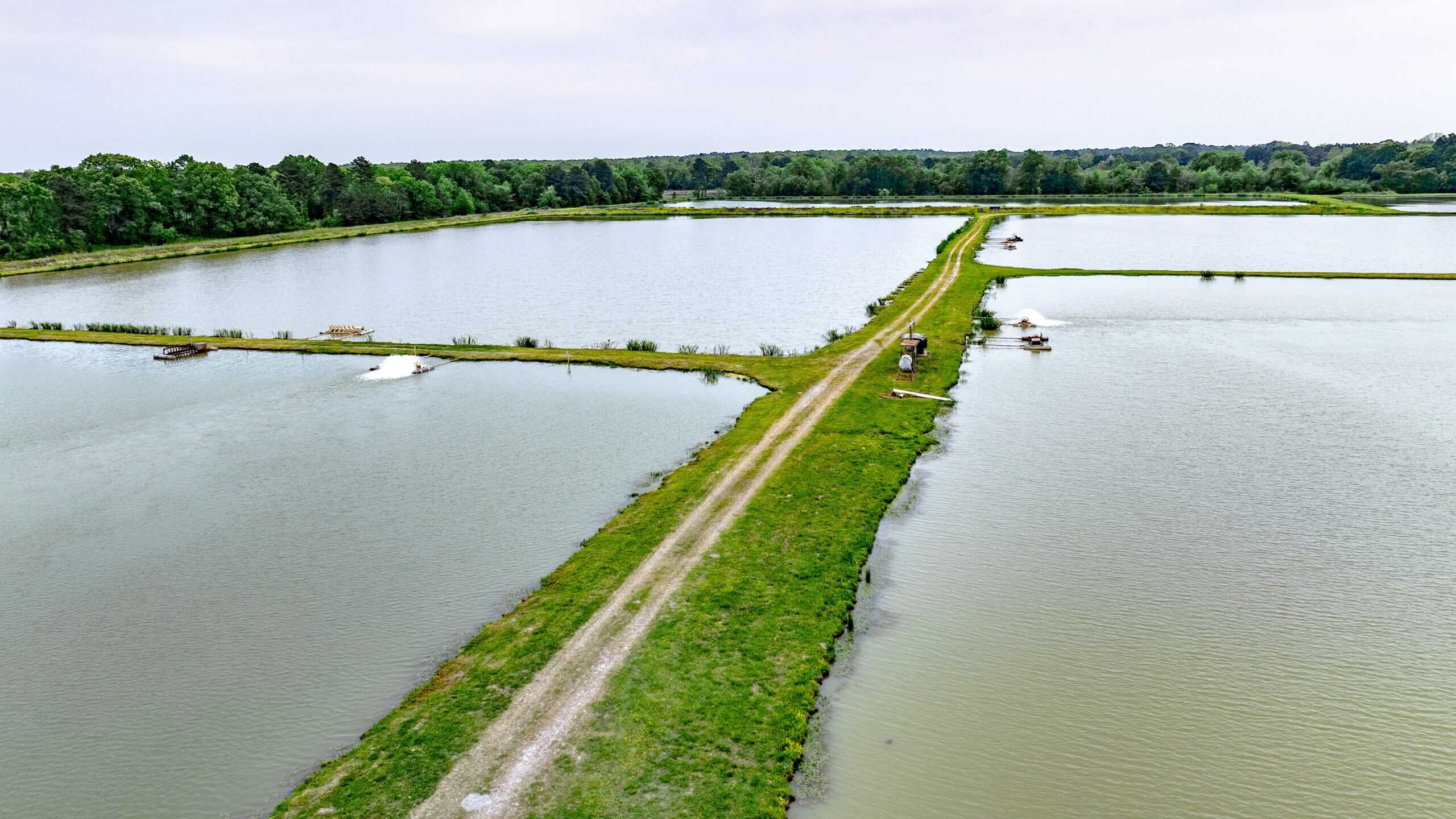 295-Acre Catfish Reserve & Recreational Property Clarksville TX