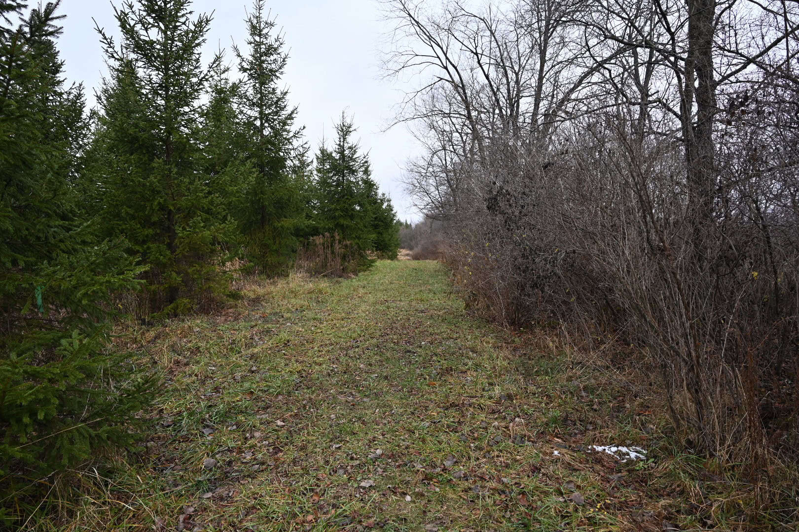 Eaton County MI Top Hunting Property