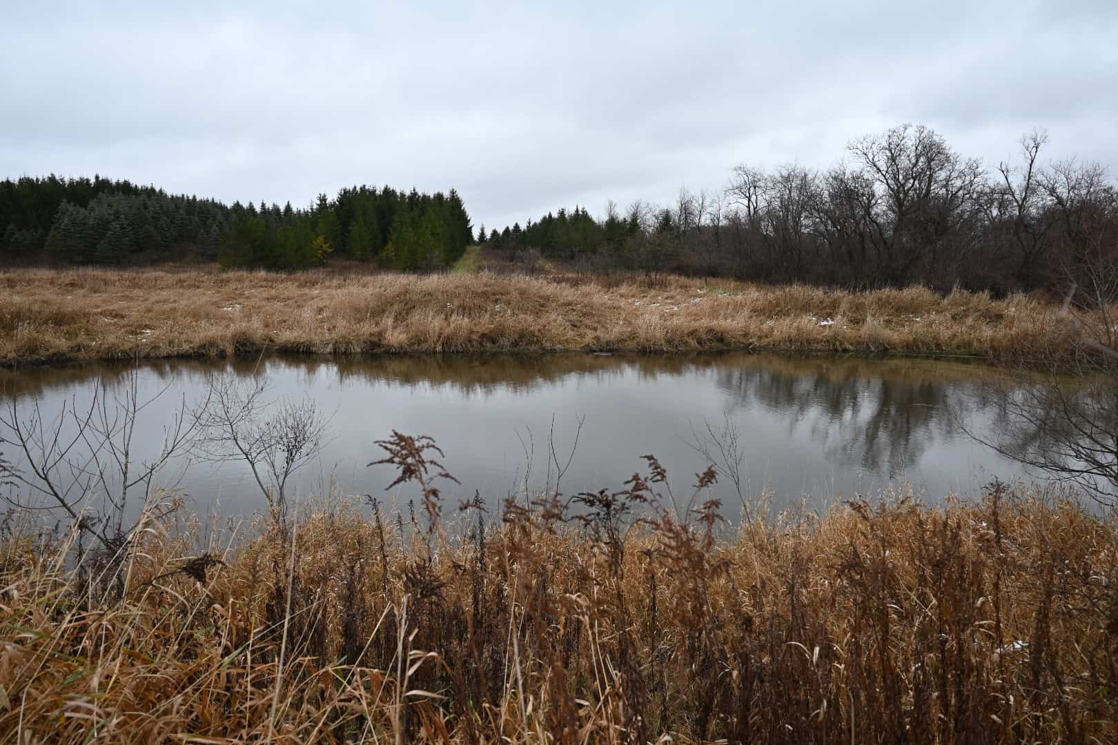 Eaton County MI Top Hunting Property