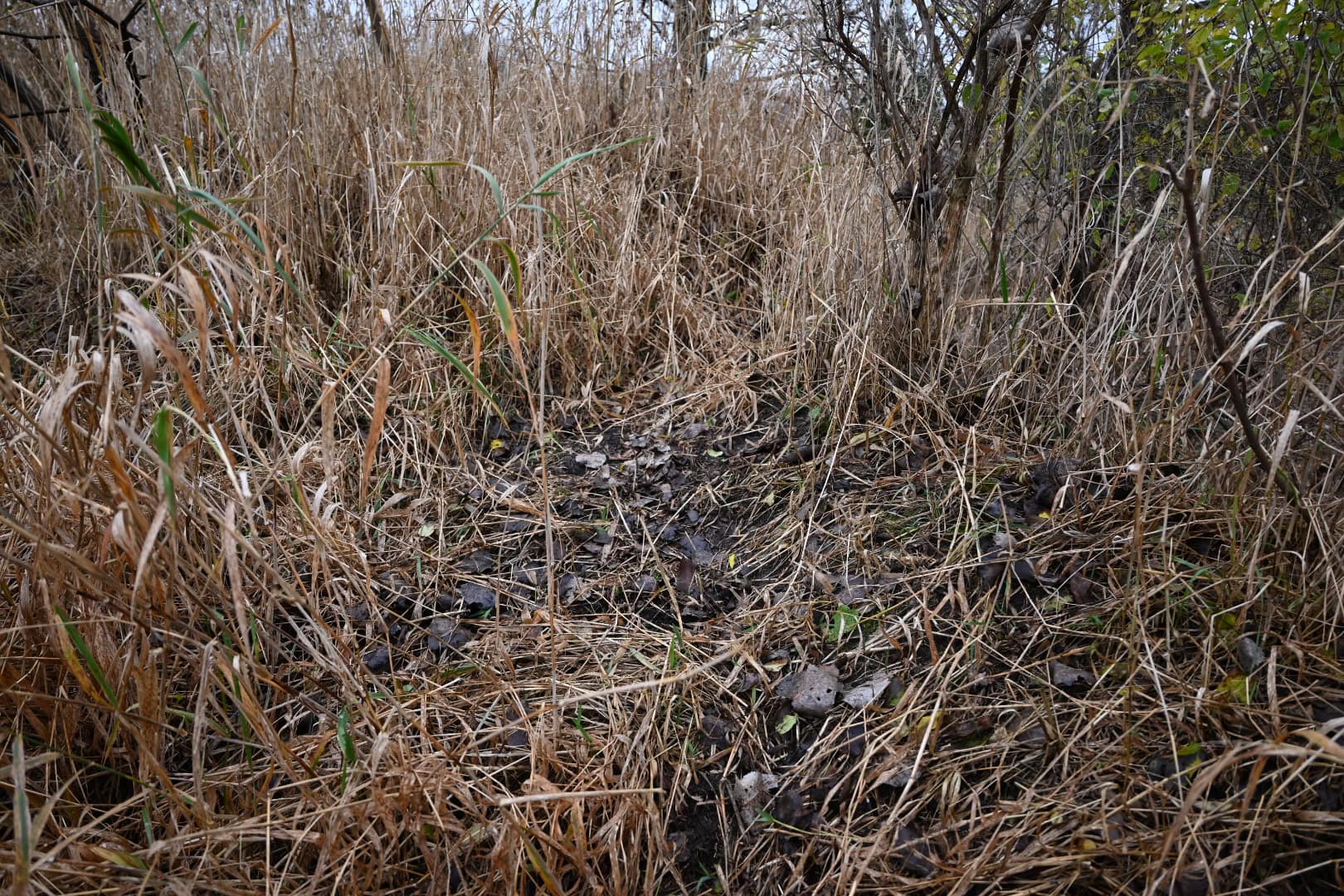 Eaton County MI Top Hunting Property