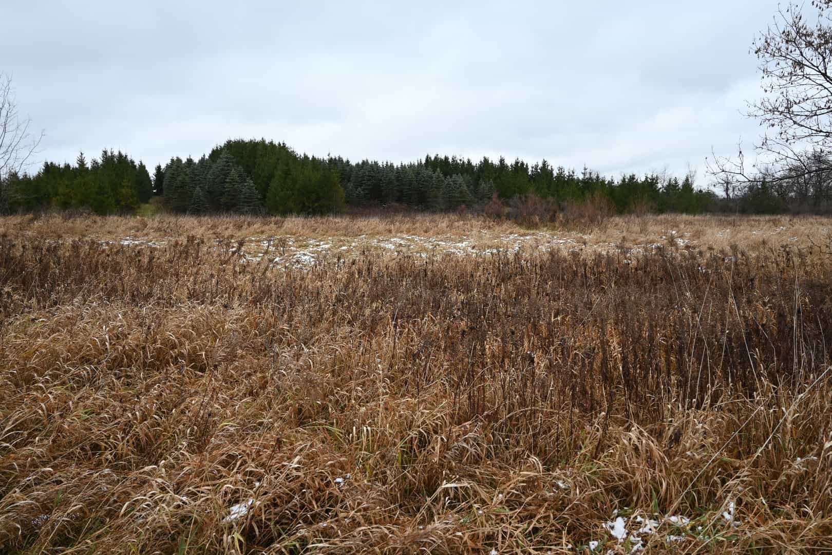 Eaton County MI Top Hunting Property