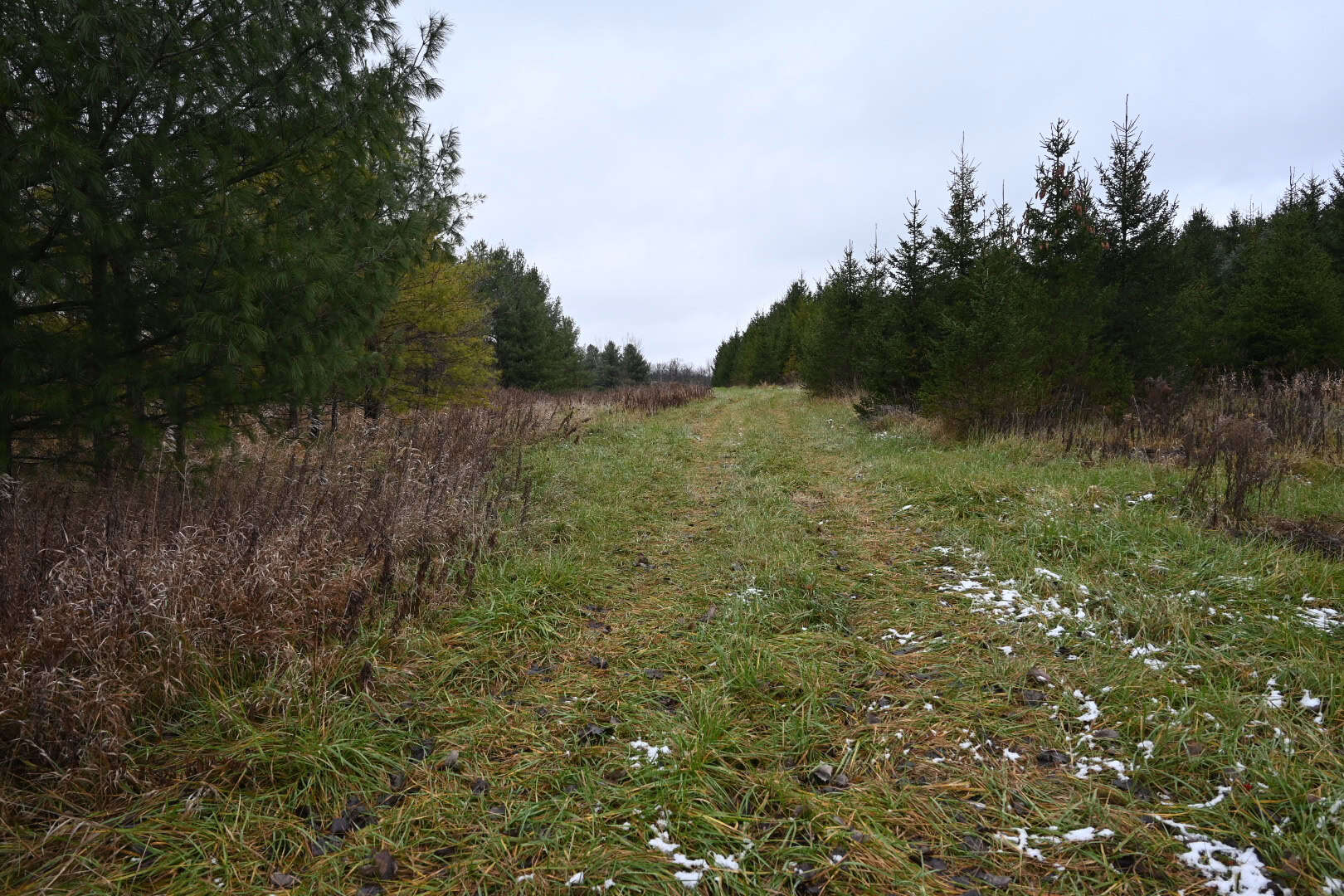 Eaton County MI Top Hunting Property