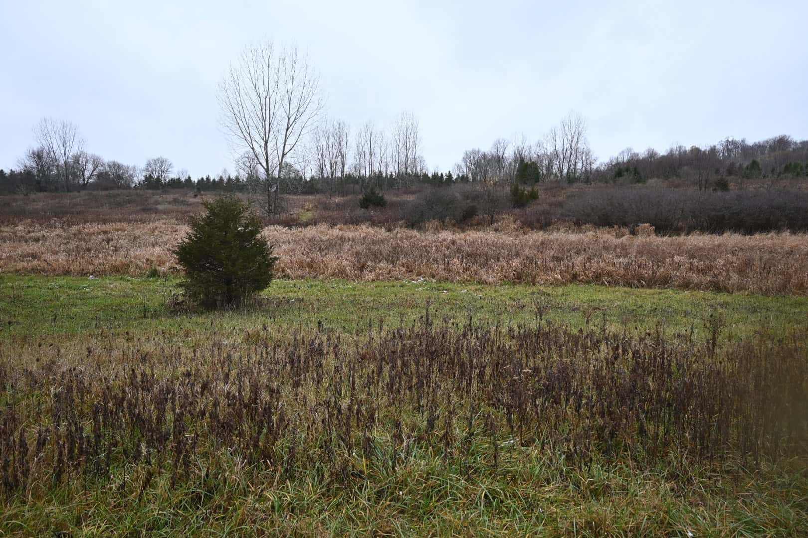 Eaton County MI Top Hunting Property