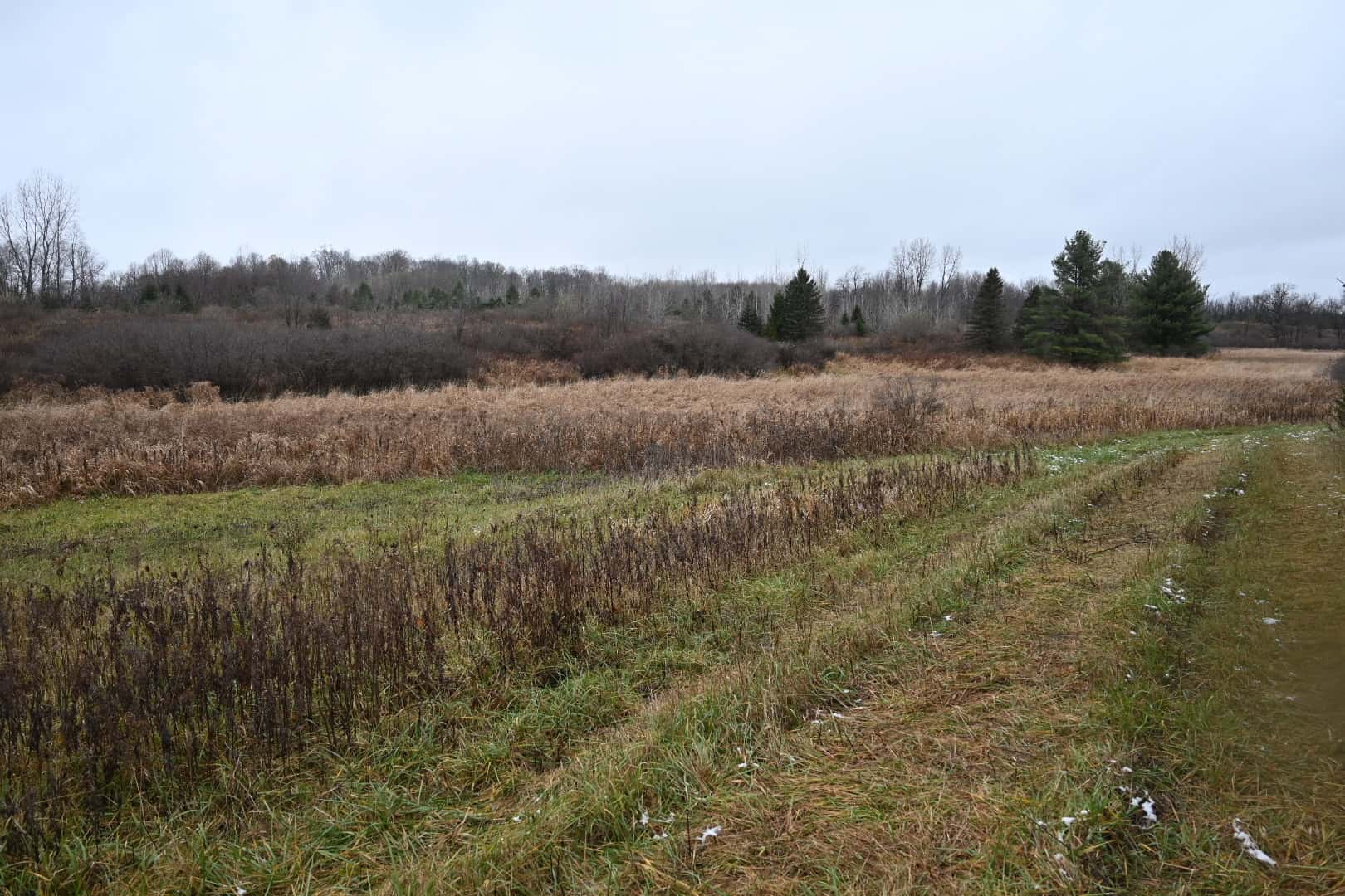 Eaton County MI Top Hunting Property