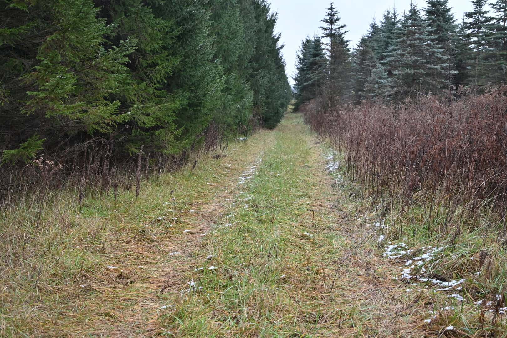 Eaton County MI Top Hunting Property