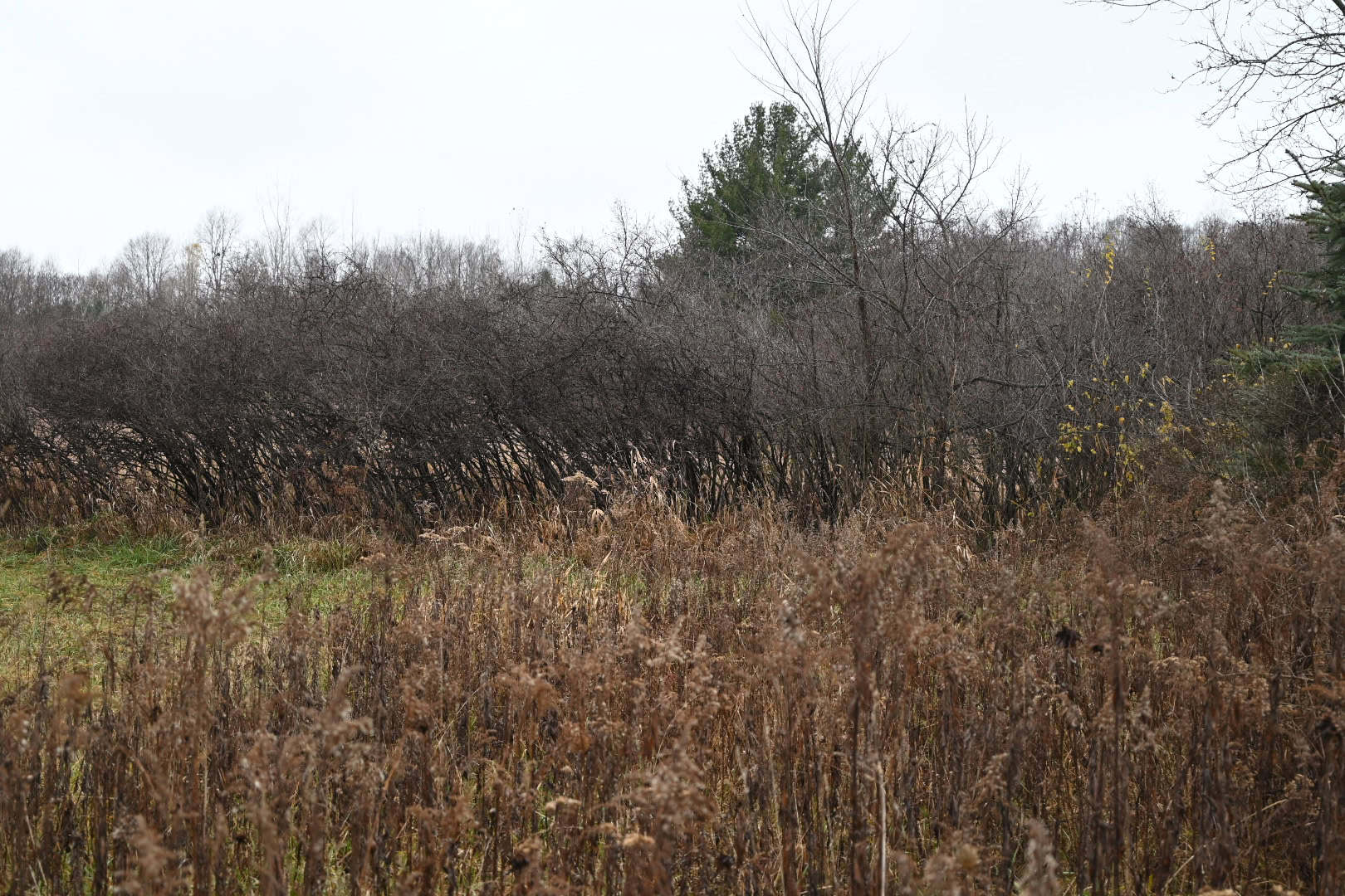 Eaton County MI Top Hunting Property
