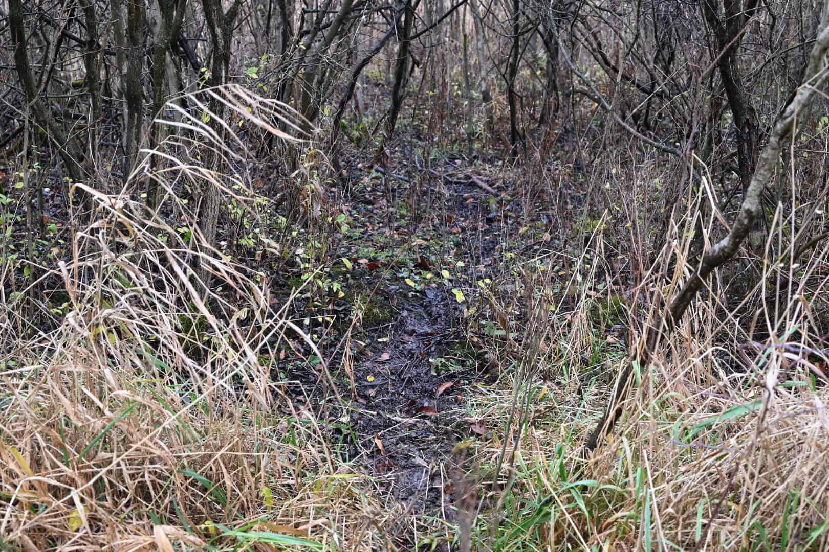 Eaton County MI Top Hunting Property