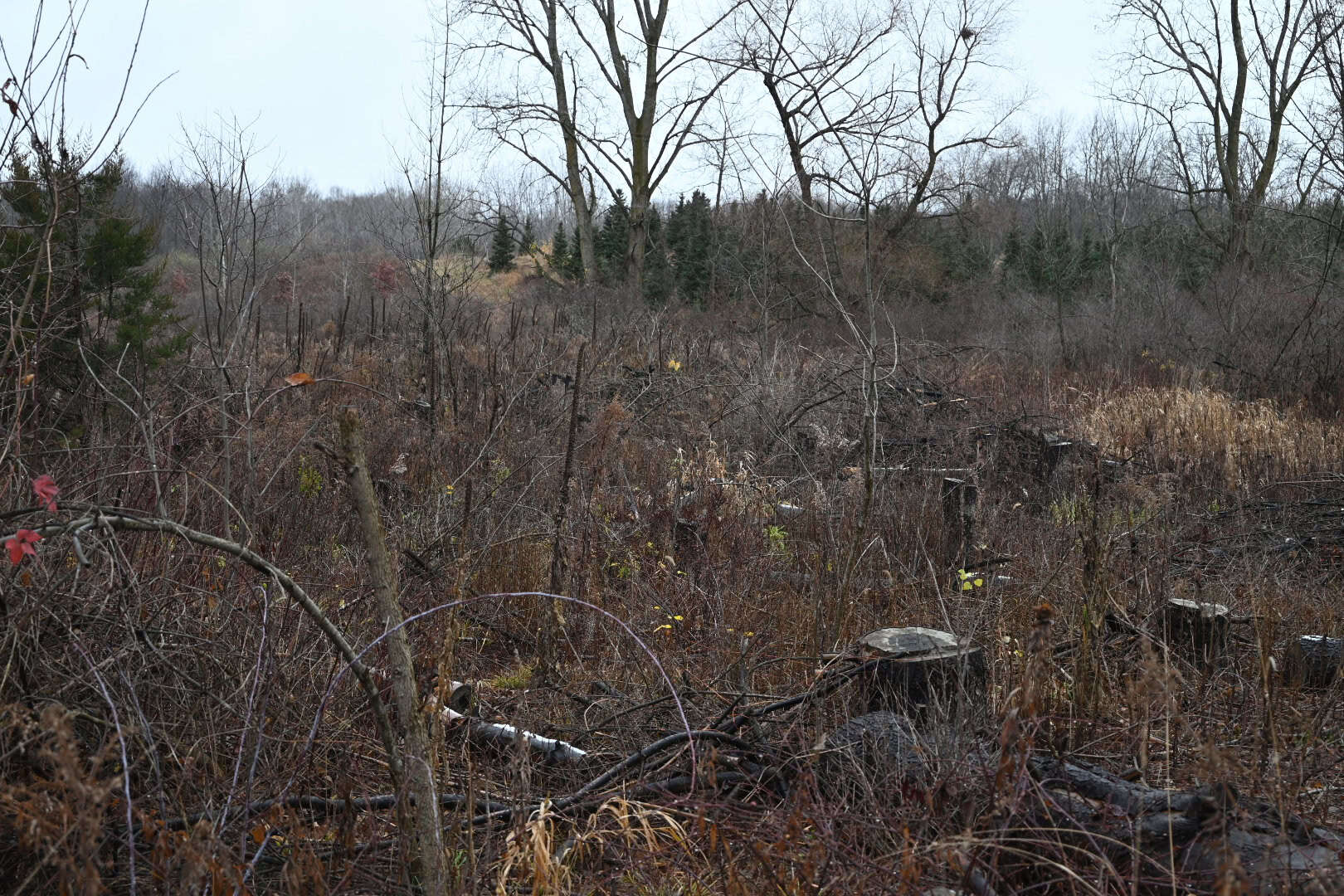Eaton County MI Top Hunting Property