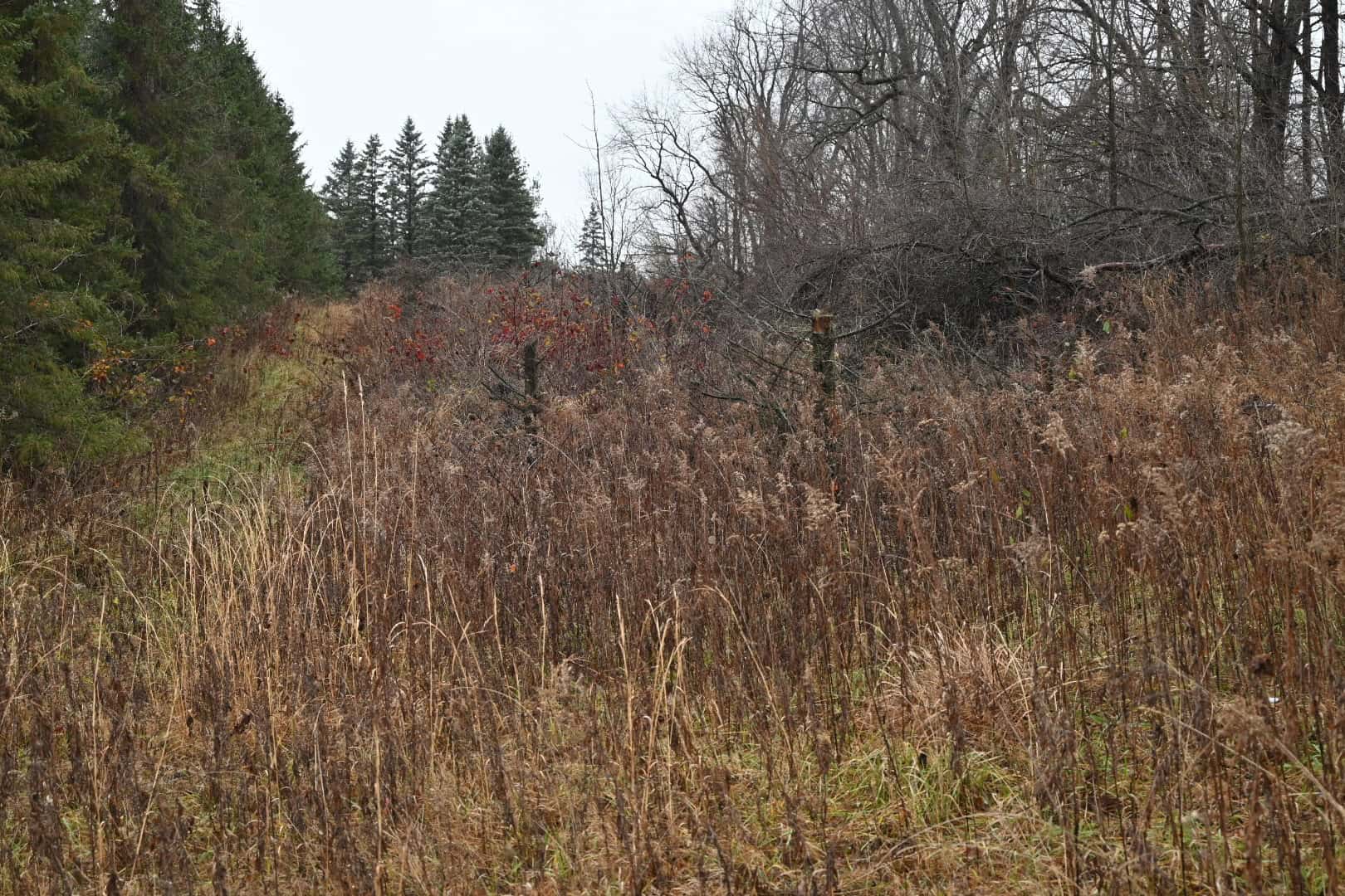 Eaton County MI Top Hunting Property