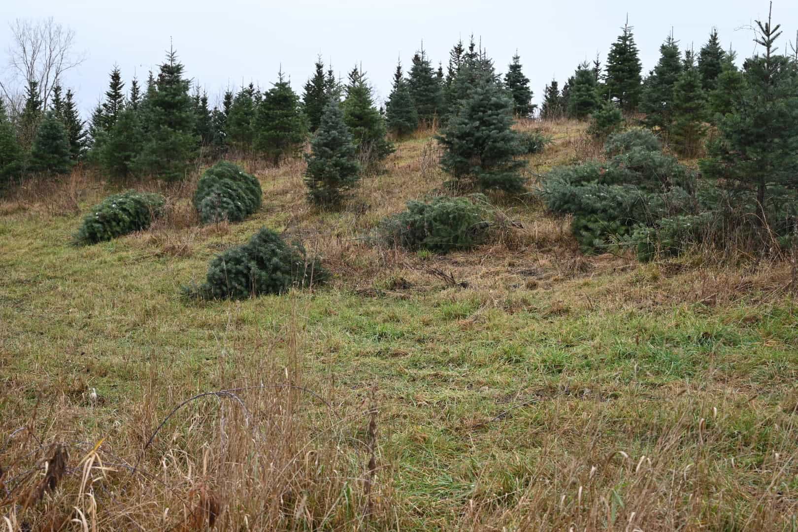 Eaton County MI Top Hunting Property