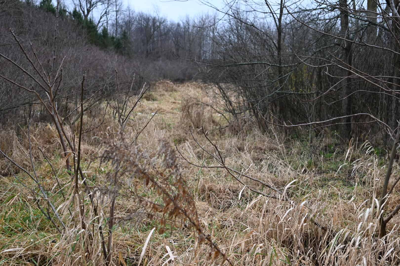 Eaton County MI Top Hunting Property