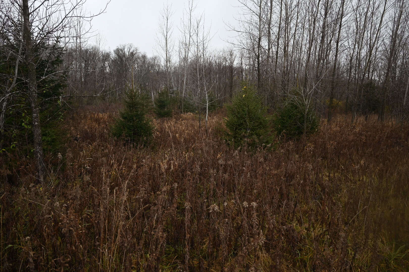Eaton County MI Top Hunting Property