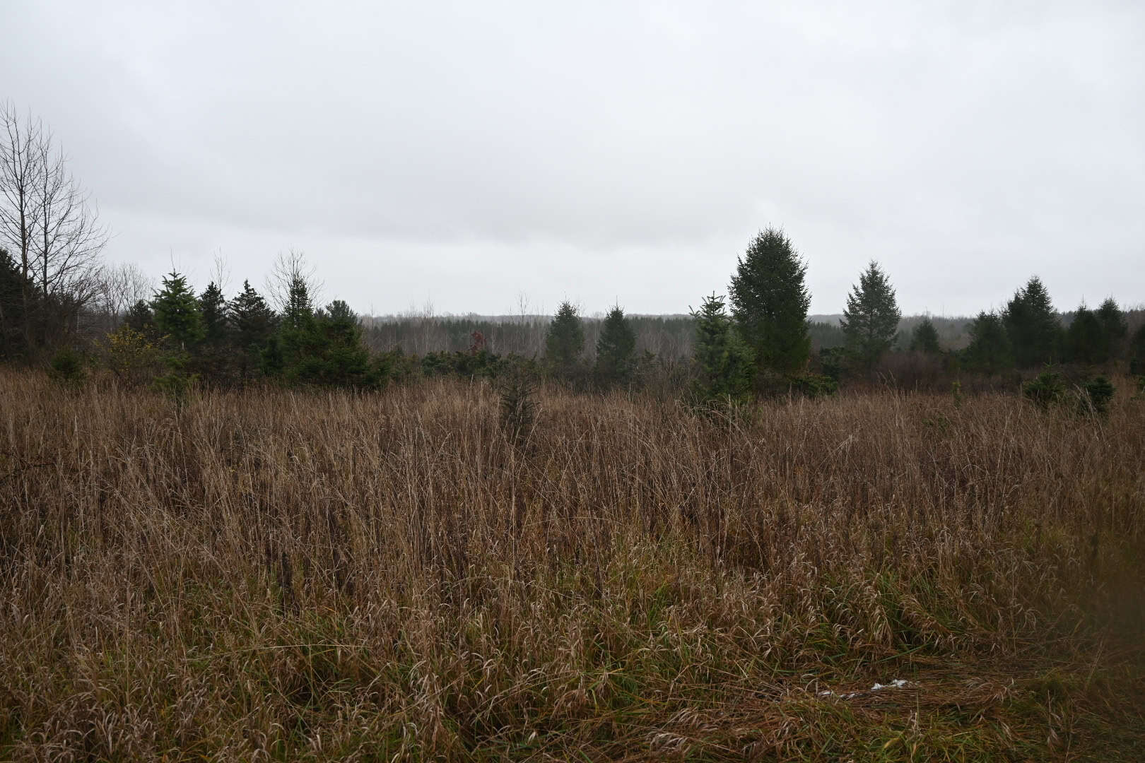 Eaton County MI Top Hunting Property