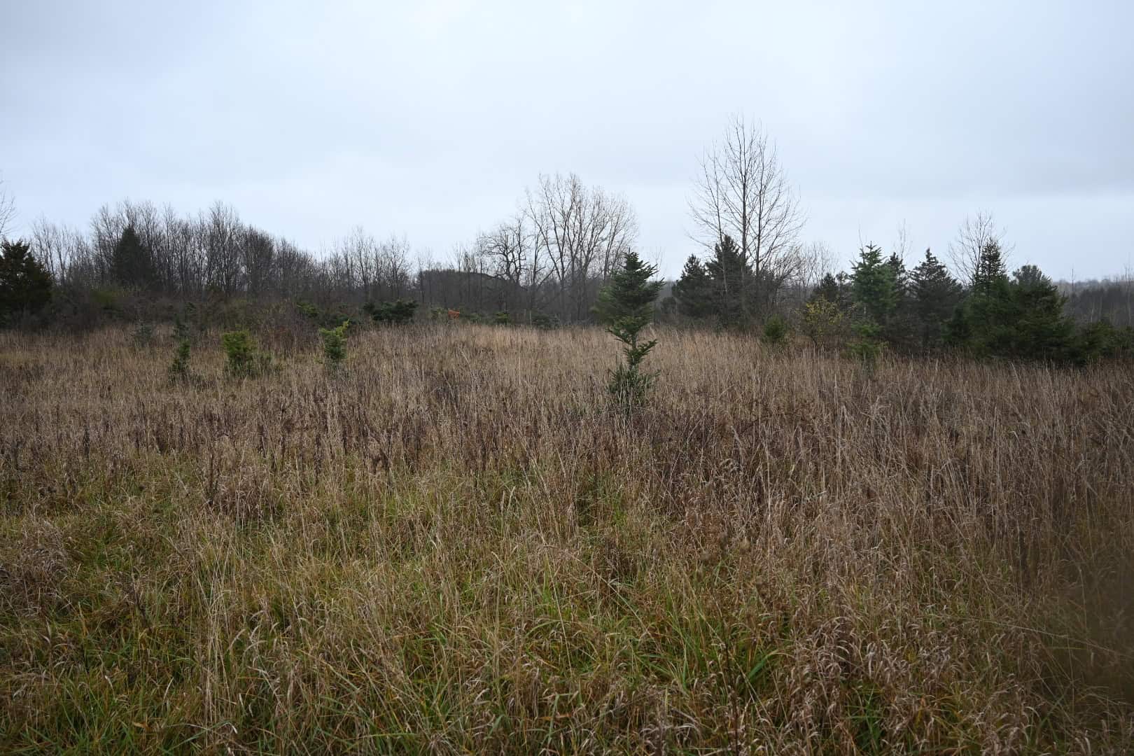 Eaton County MI Top Hunting Property