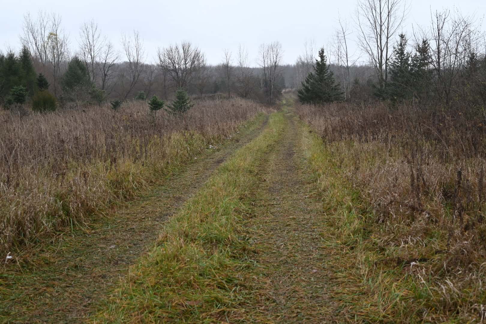 Eaton County MI Top Hunting Property