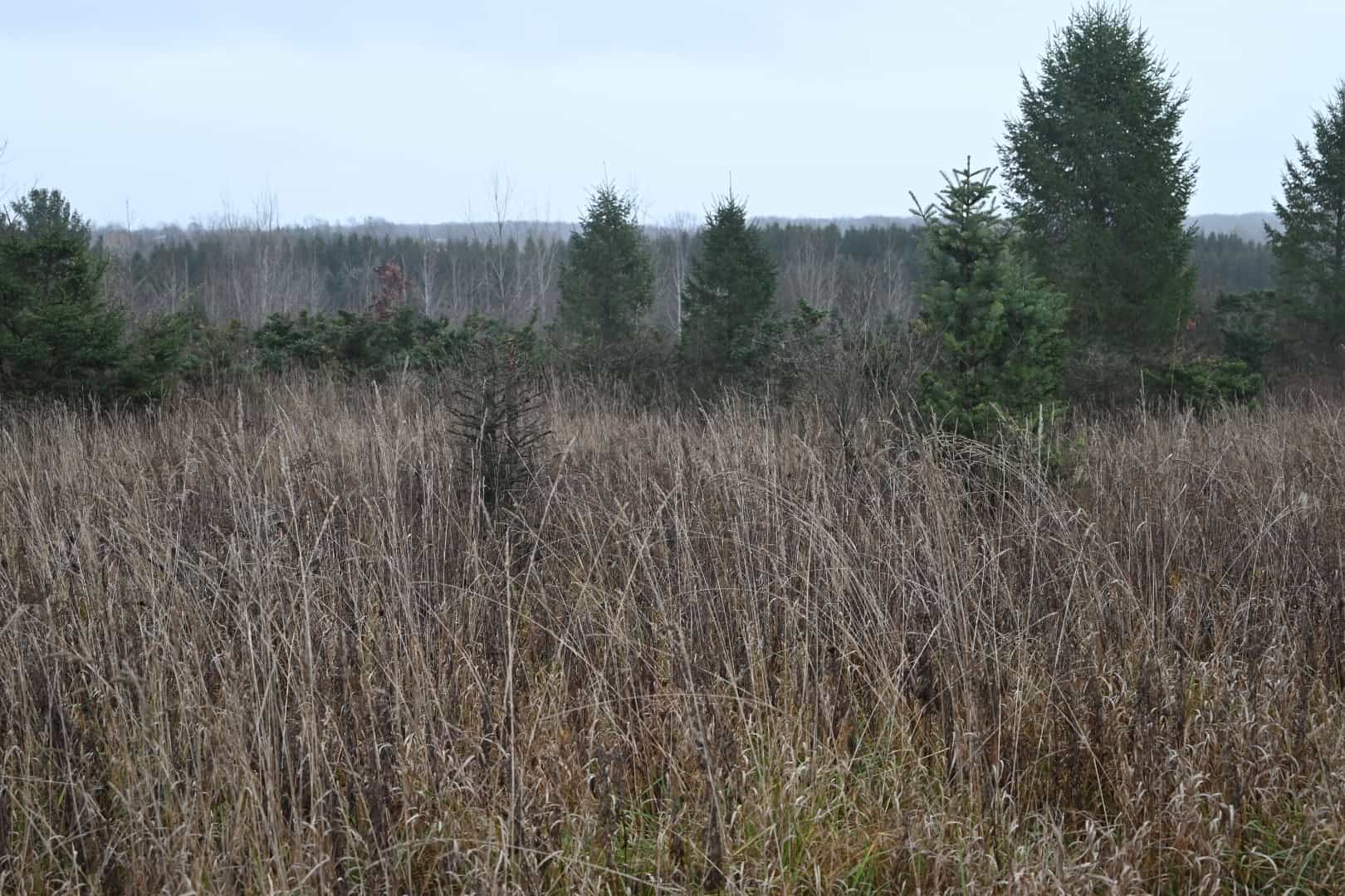 Eaton County MI Top Hunting Property