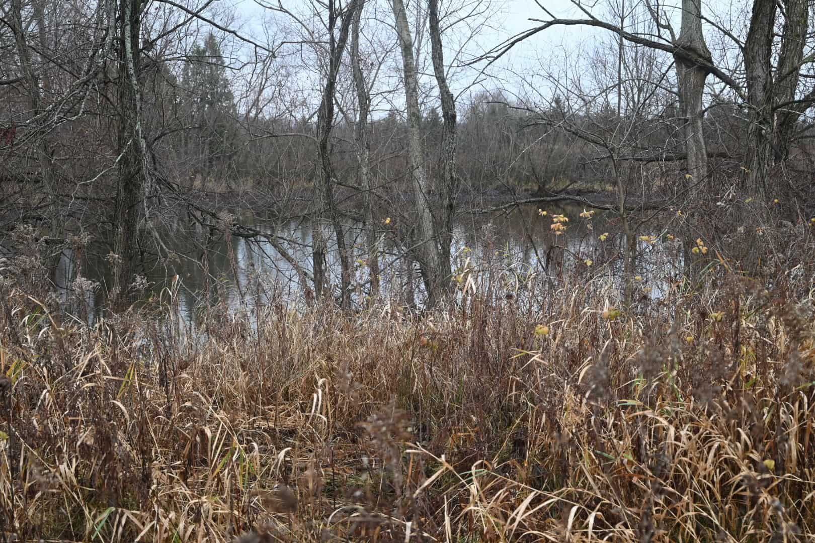 Eaton County MI Top Hunting Property