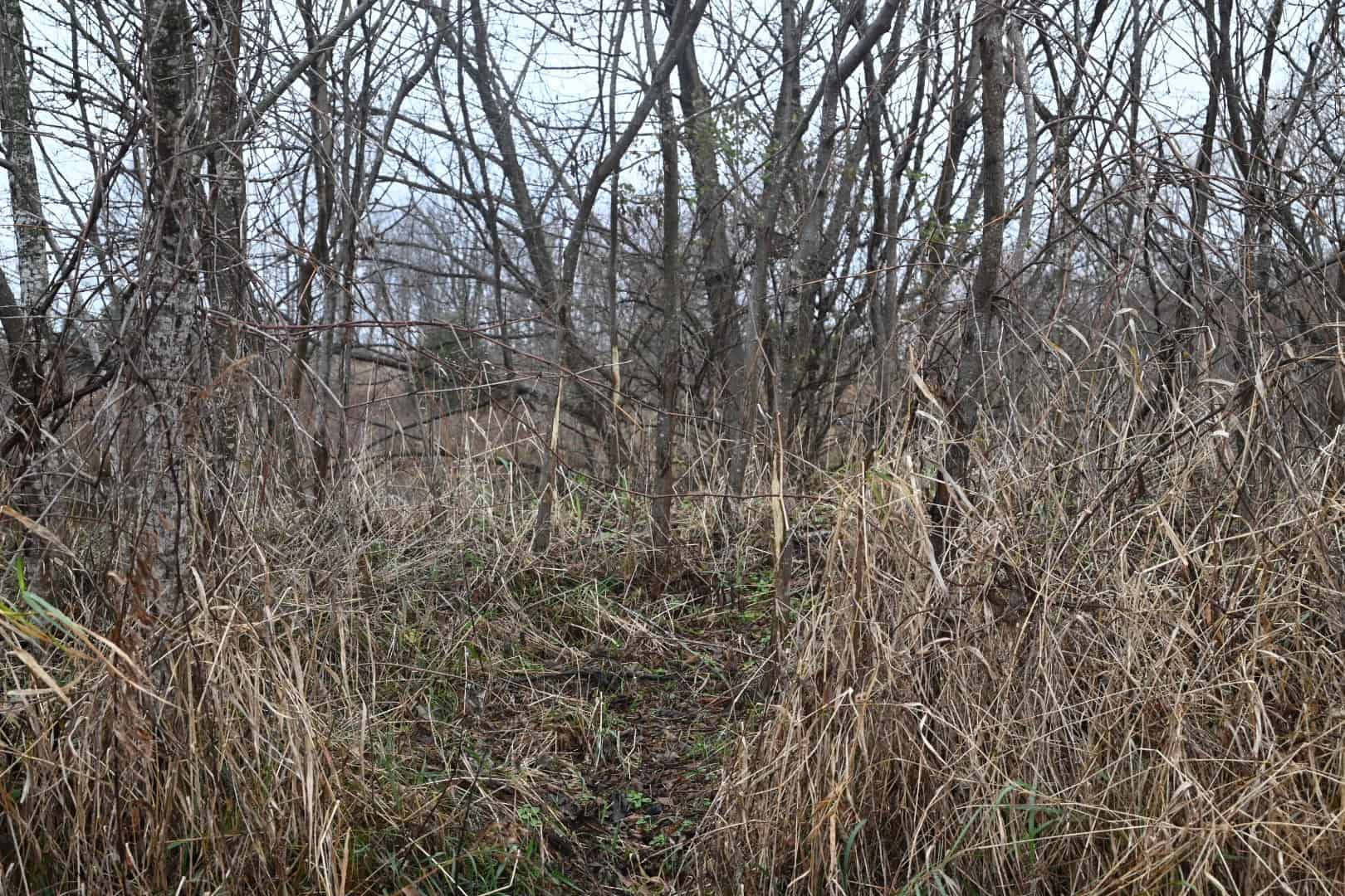 Eaton County MI Top Hunting Property