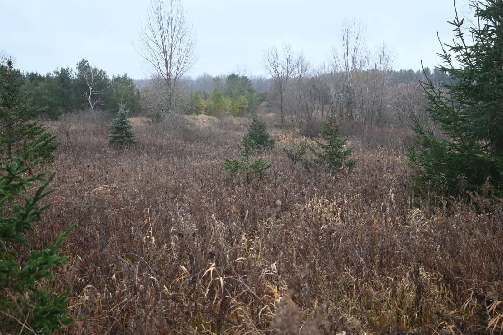 Eaton County MI Top Hunting Property