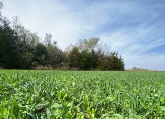 Decatur County Hunting and Investment Land For Sale