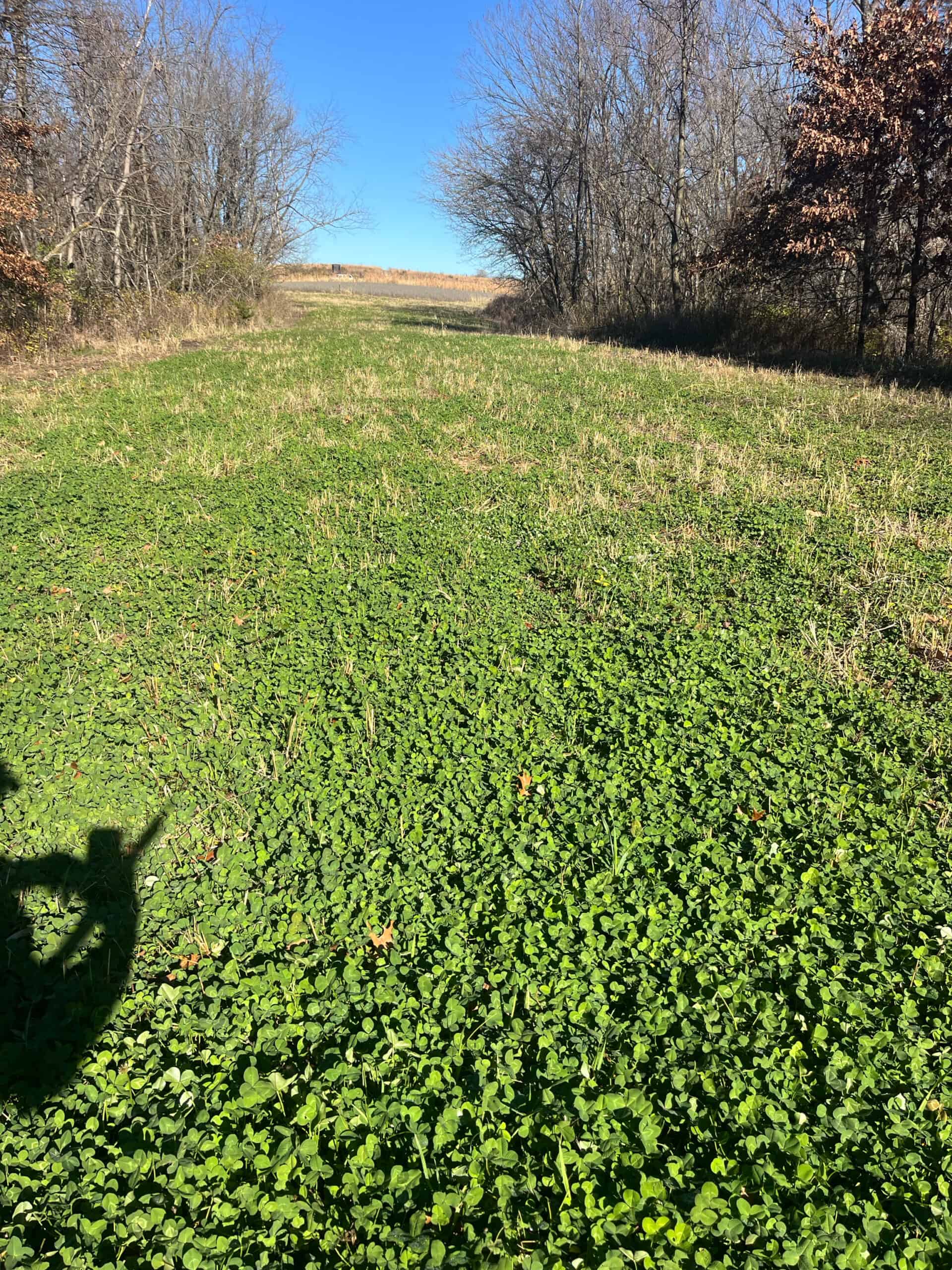 Decatur County Hunting and Investment Land For Sale