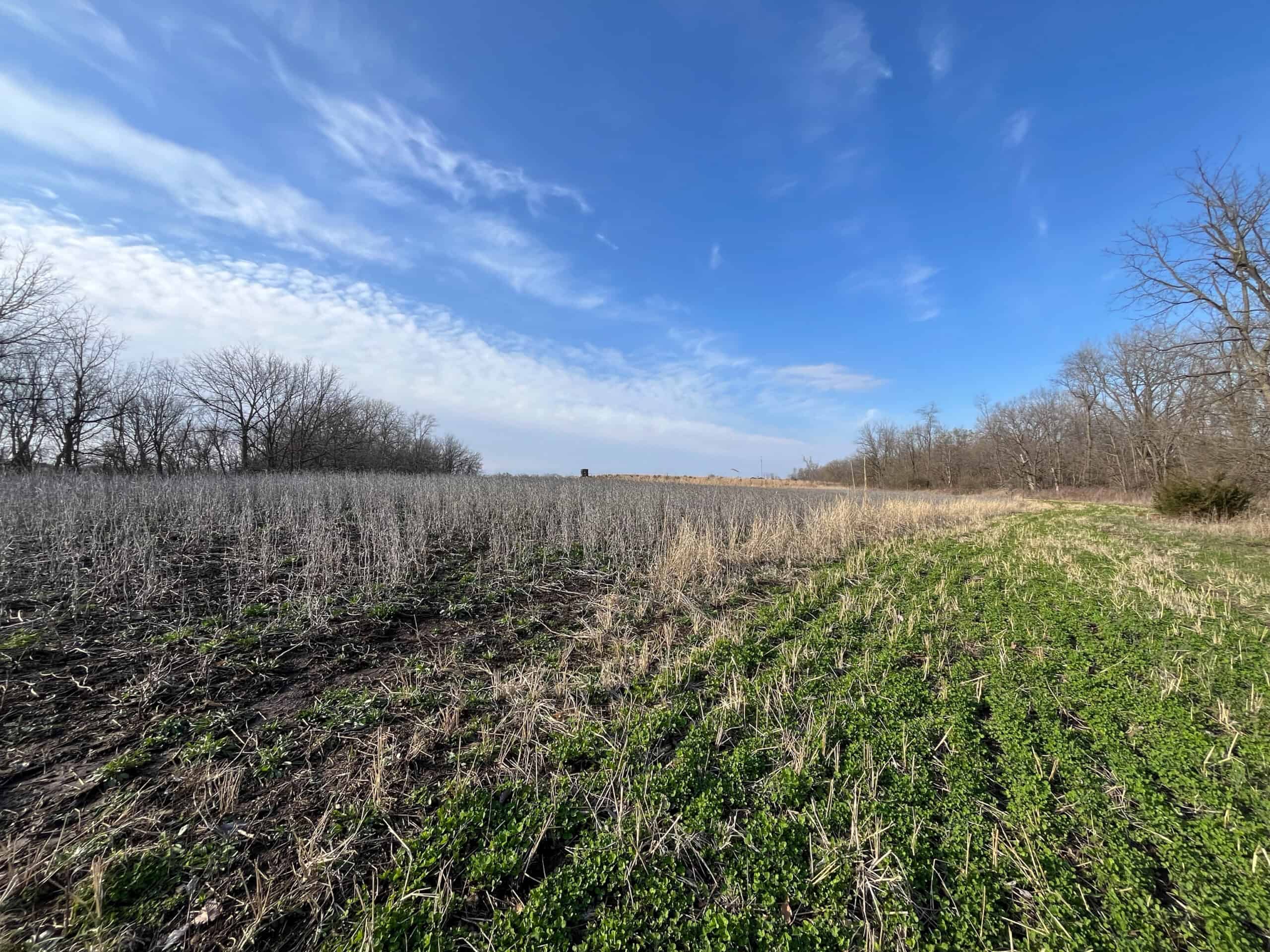 Decatur County Hunting and Investment Land For Sale