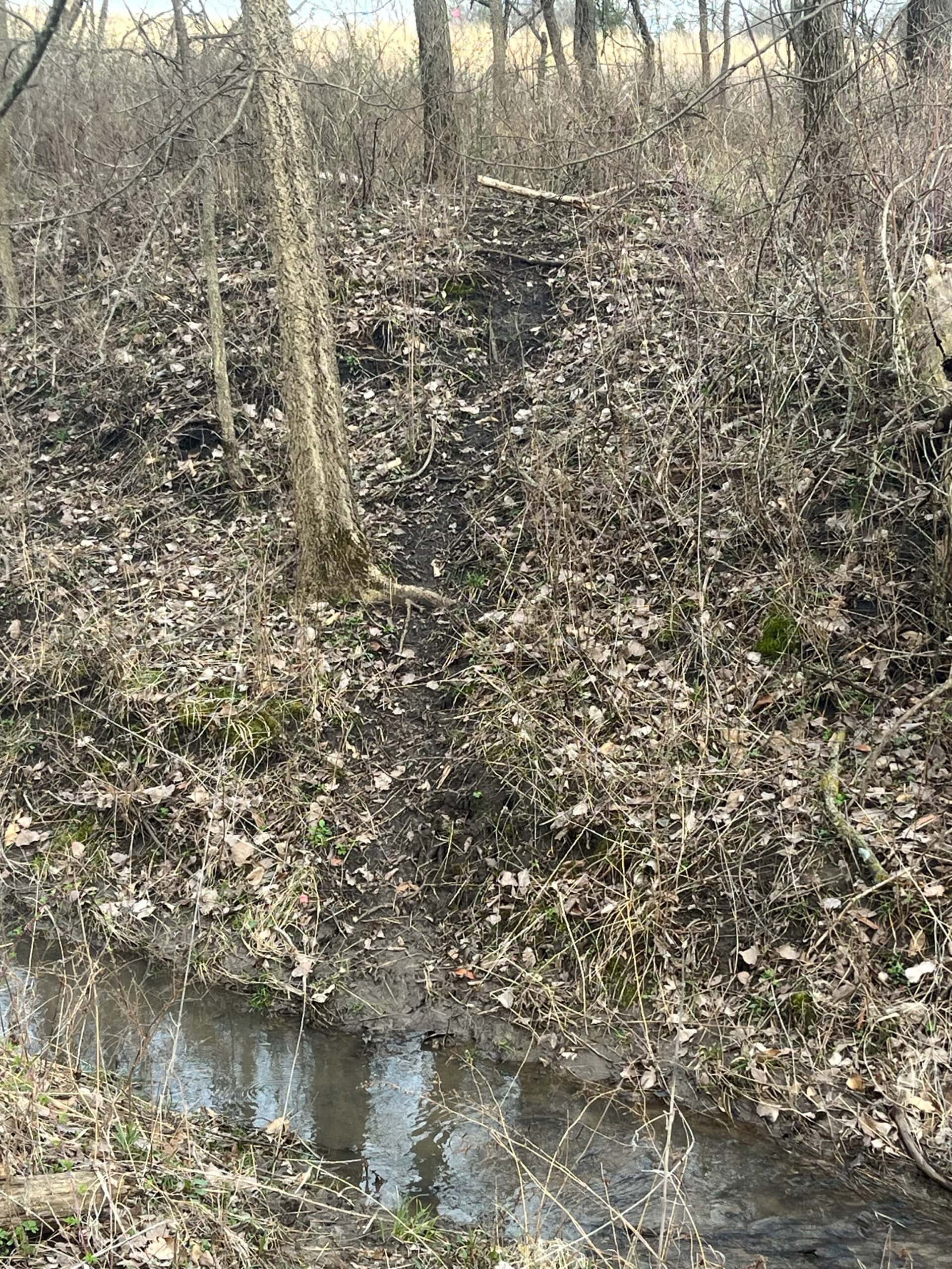 Decatur County Hunting and Investment Land For Sale