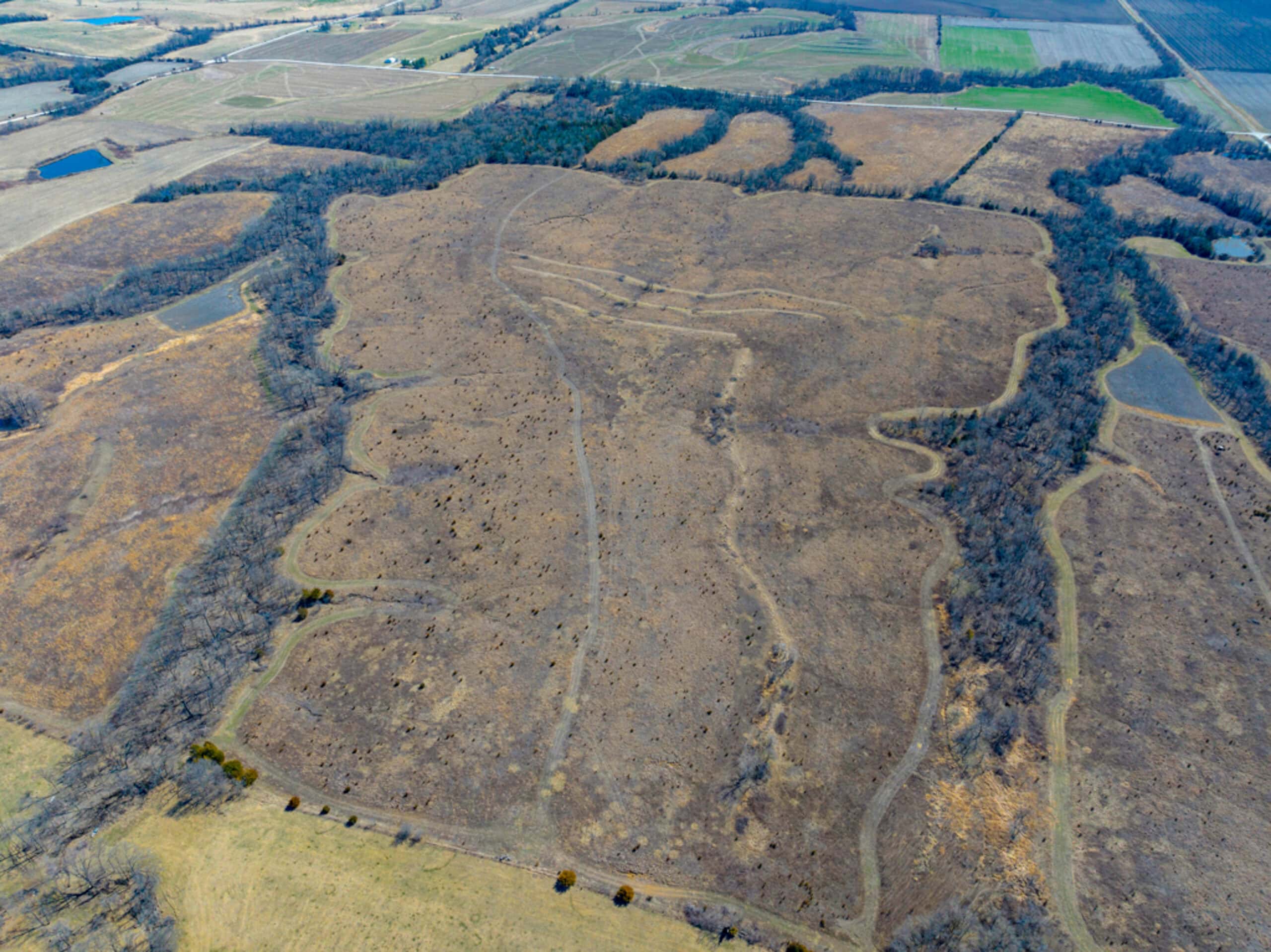 Decatur County Hunting and Investment Land For Sale