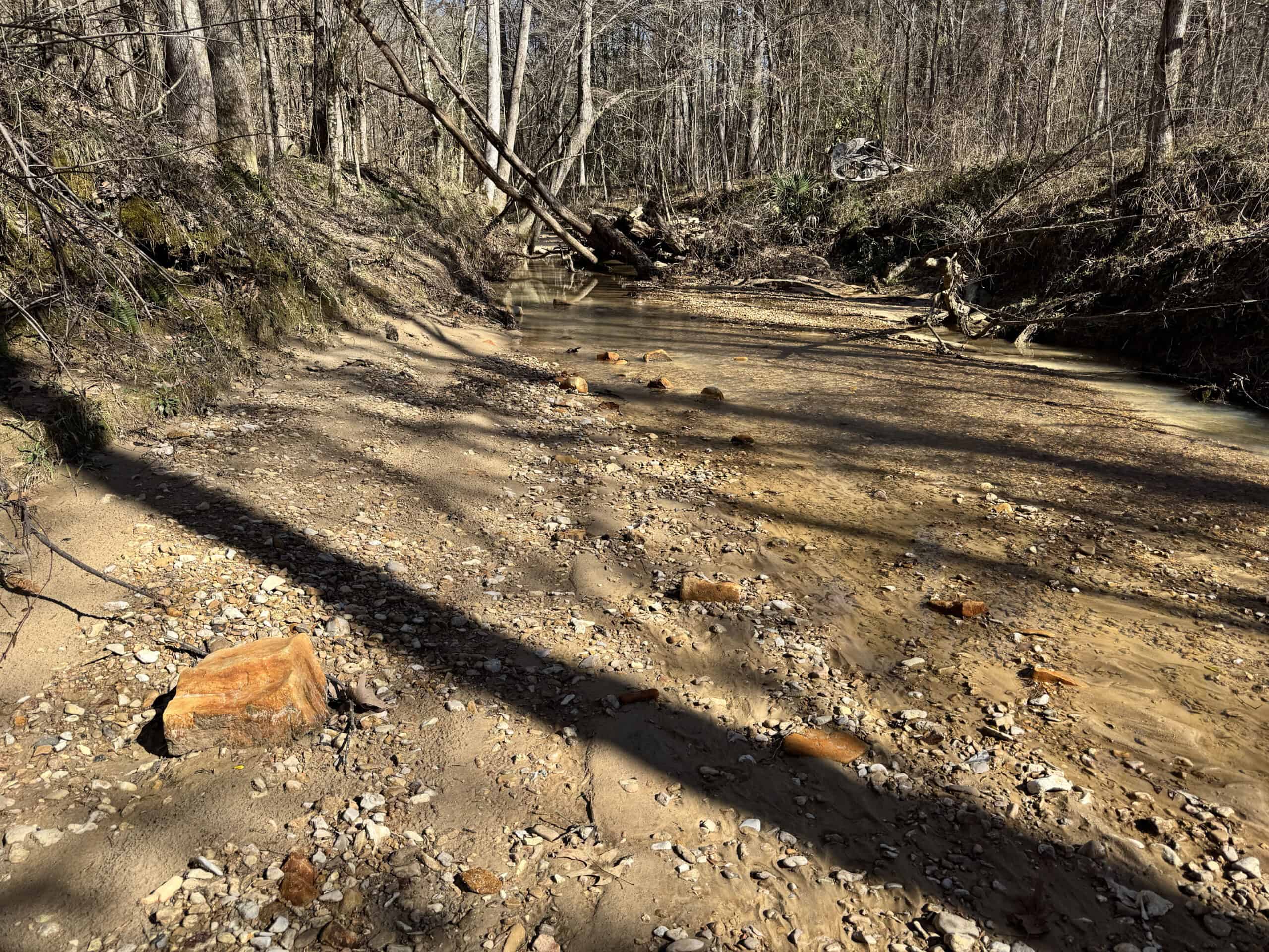600 Acres Claiborne County Hunting Land Timber Investment