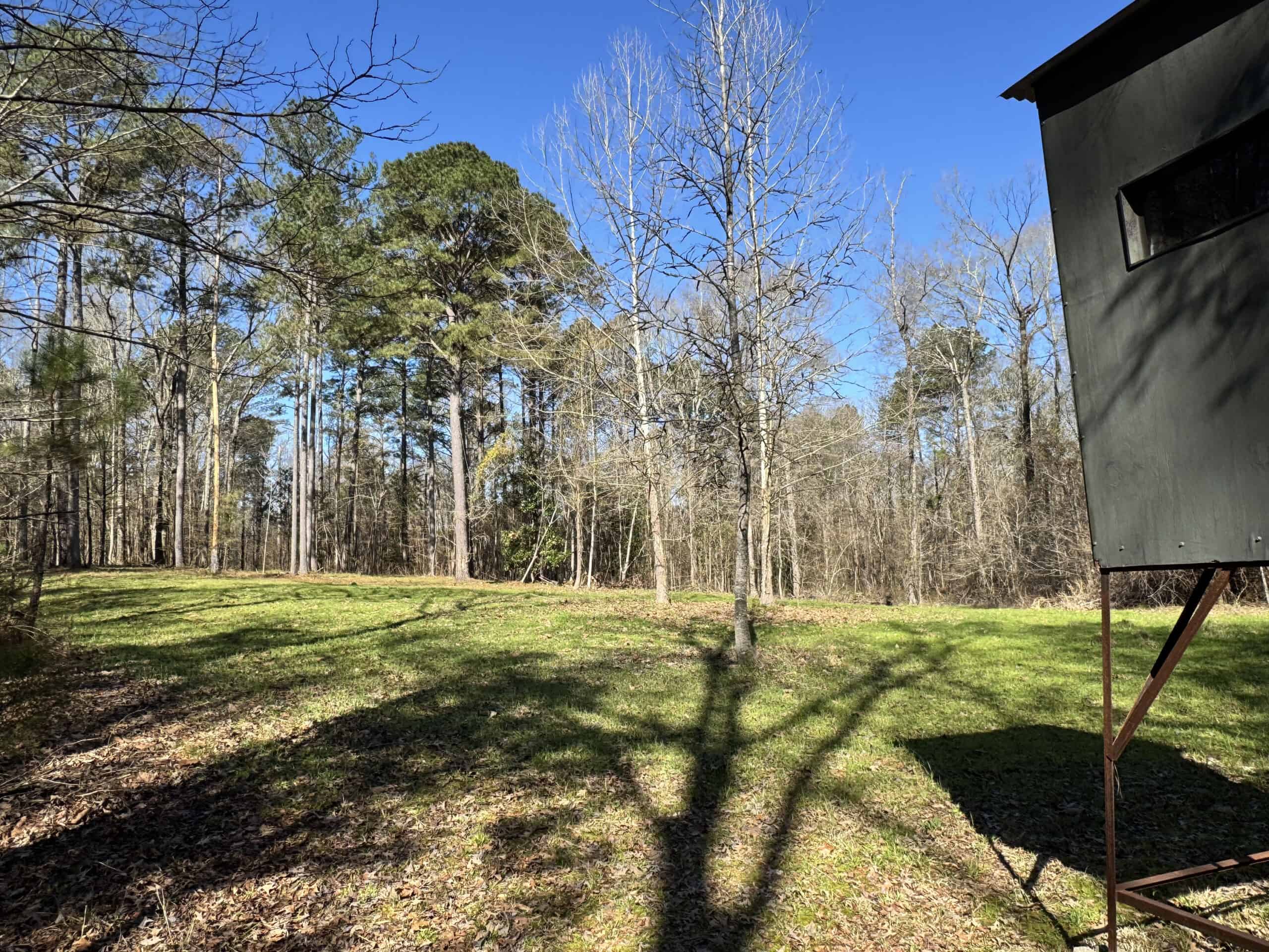 600 Acres Claiborne County Hunting Land Timber Investment