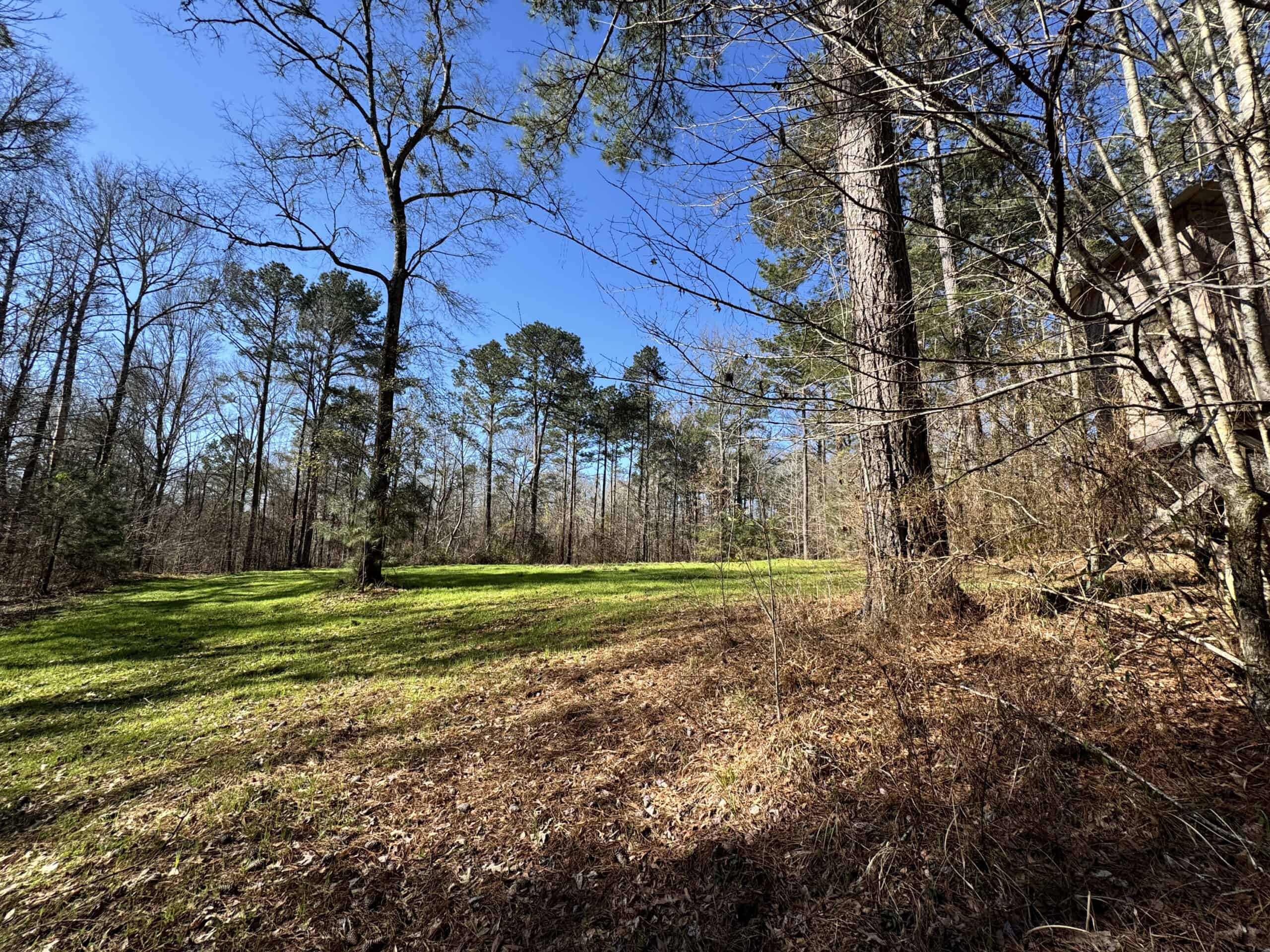 600 Acres Claiborne County Hunting Land Timber Investment
