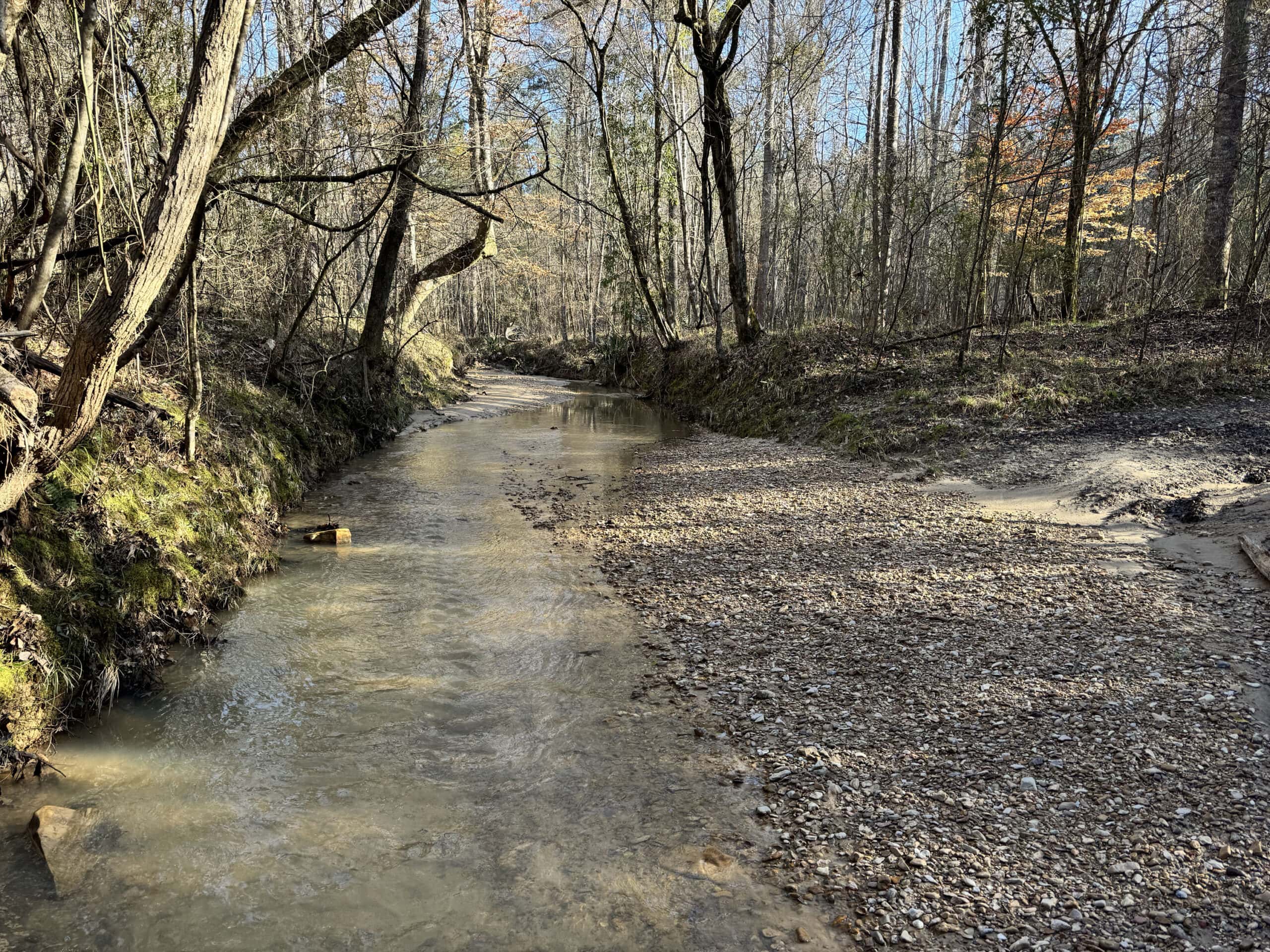 600 Acres Claiborne County Hunting Land Timber Investment