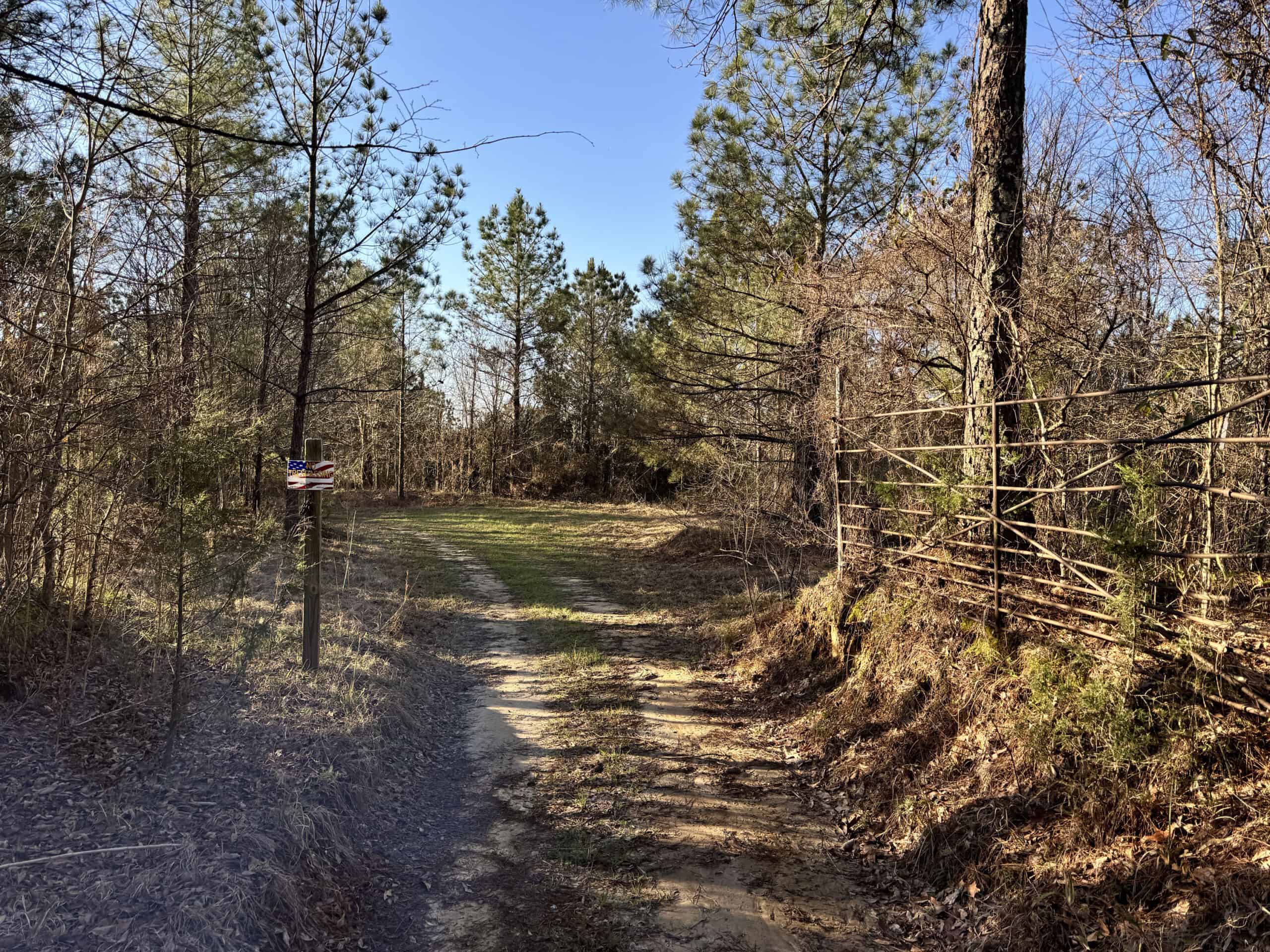 600 Acres Claiborne County Hunting Land Timber Investment