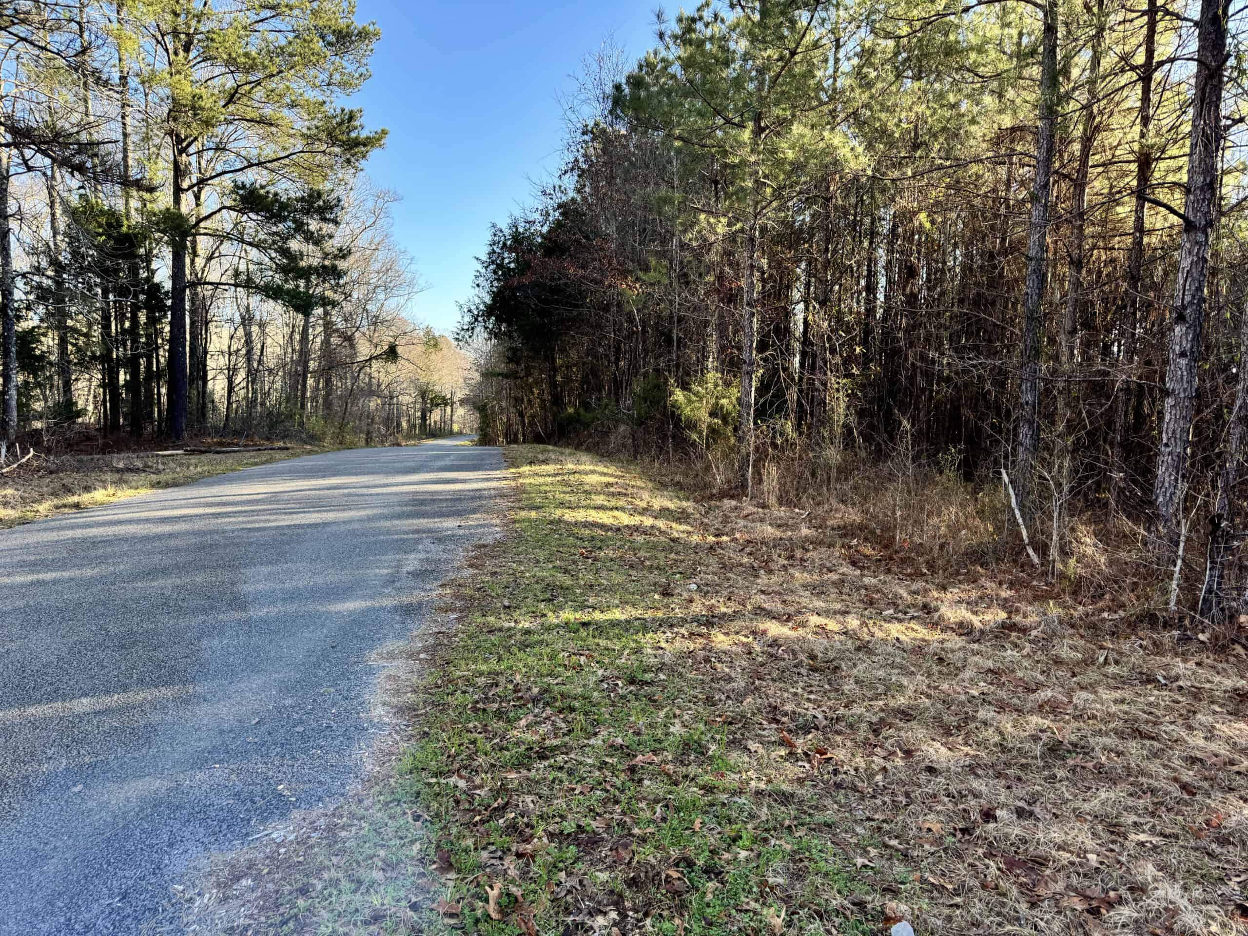 600 Acres Claiborne County Hunting Land Timber Investment